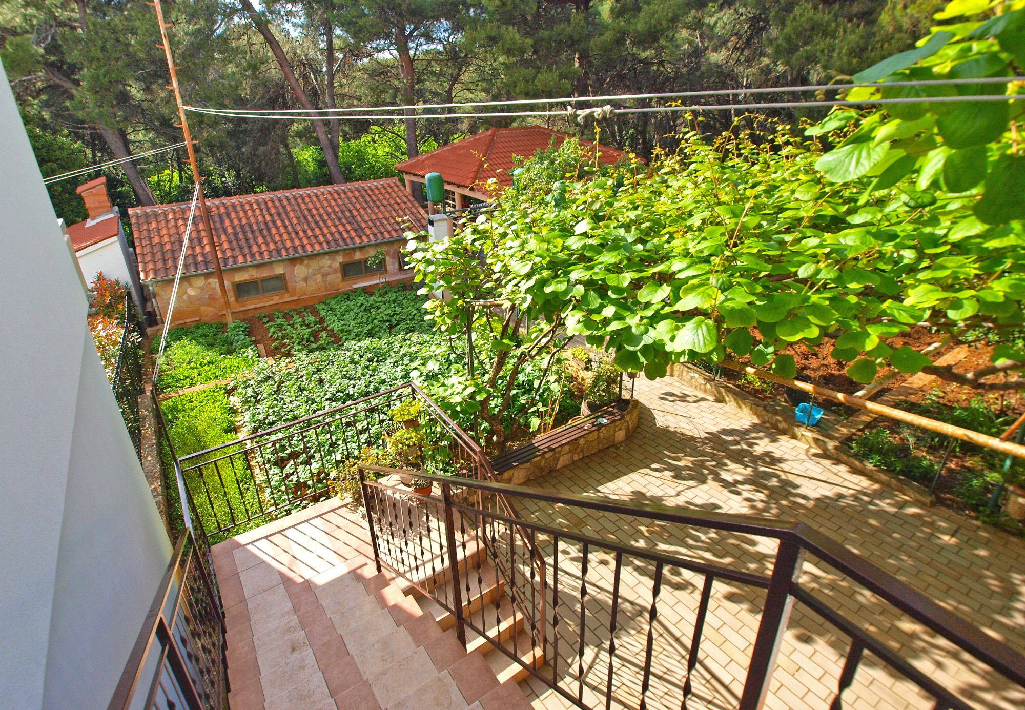 Apartments Branko 1348