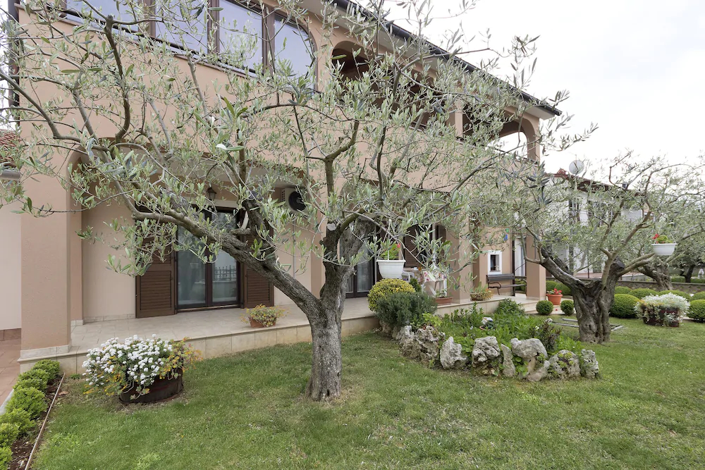 Apartments Monte Grande