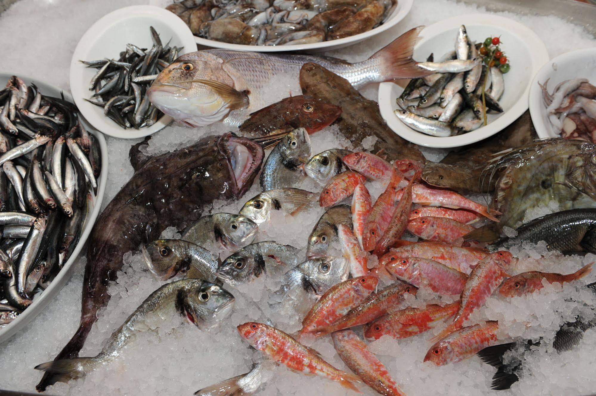 Milan - Hotel & Restaurant