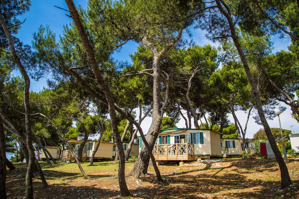 Arena Stoja Camping Homes