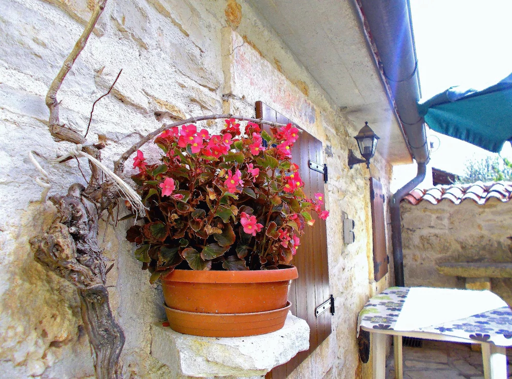 Apartments Sol Jardin
