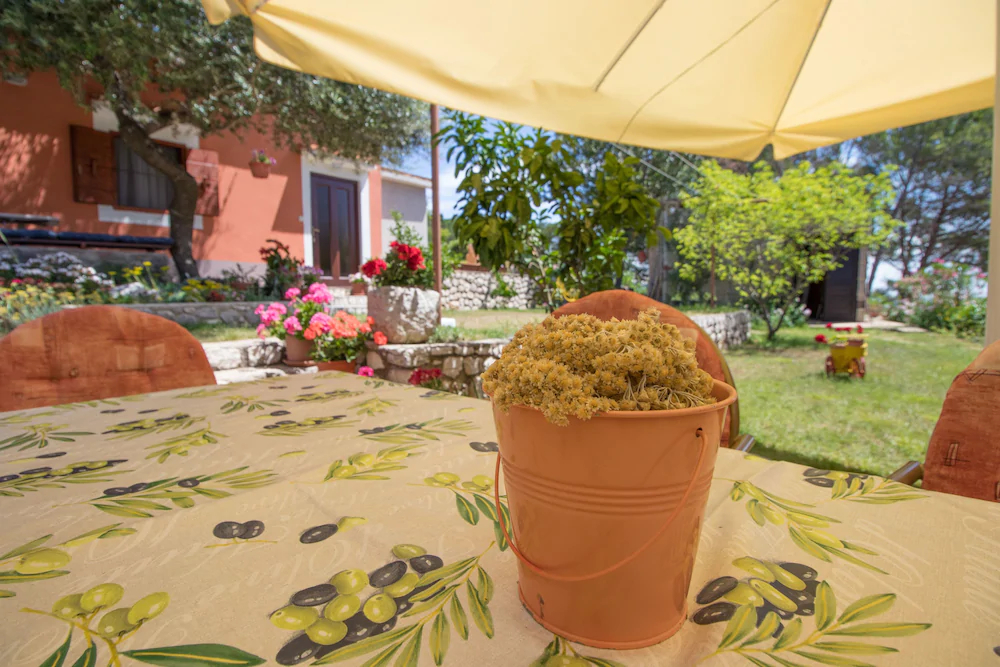 Apartments Nusret