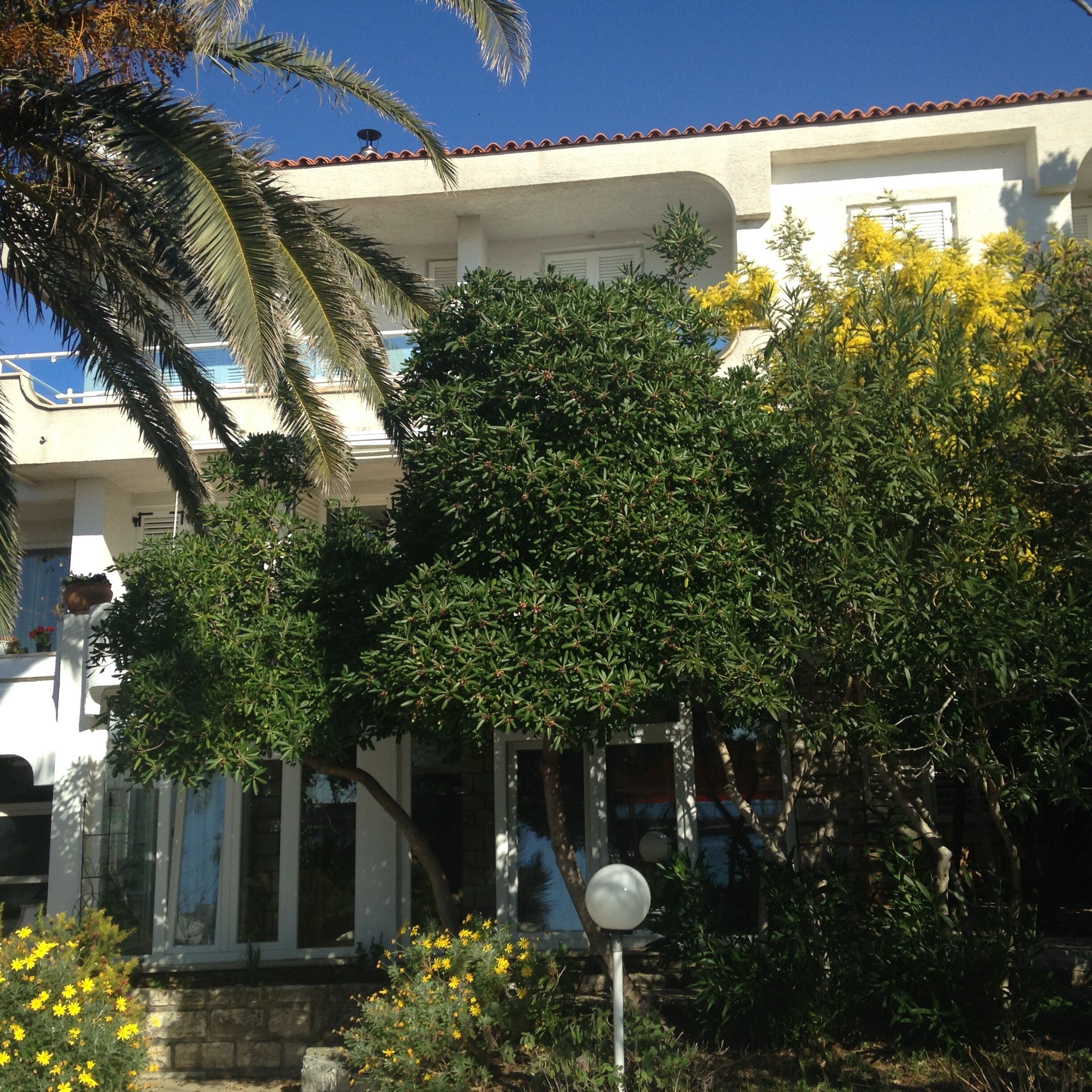 Guesthouse Punta Mira Beachfront