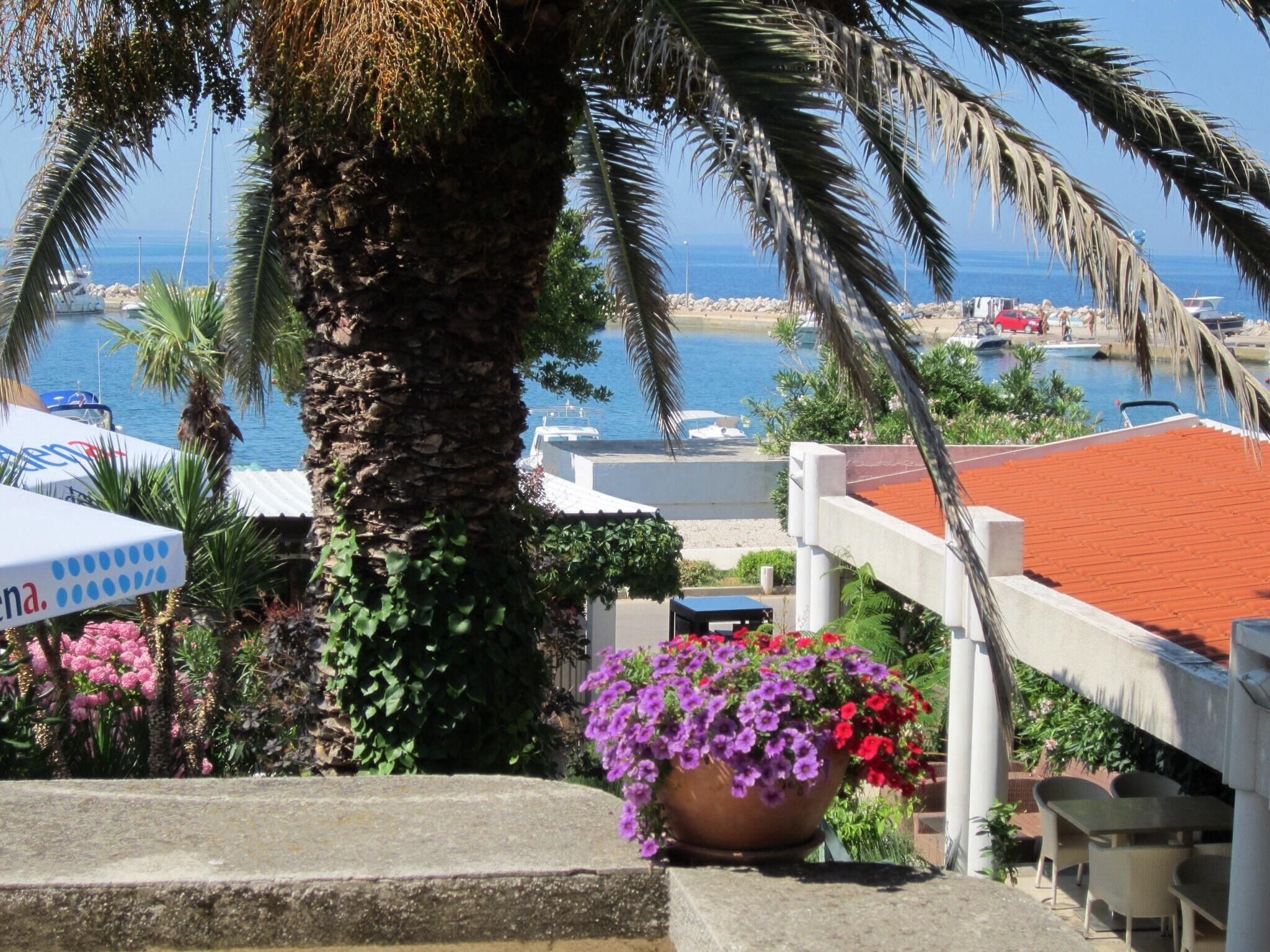 Guesthouse Punta Mira Beachfront