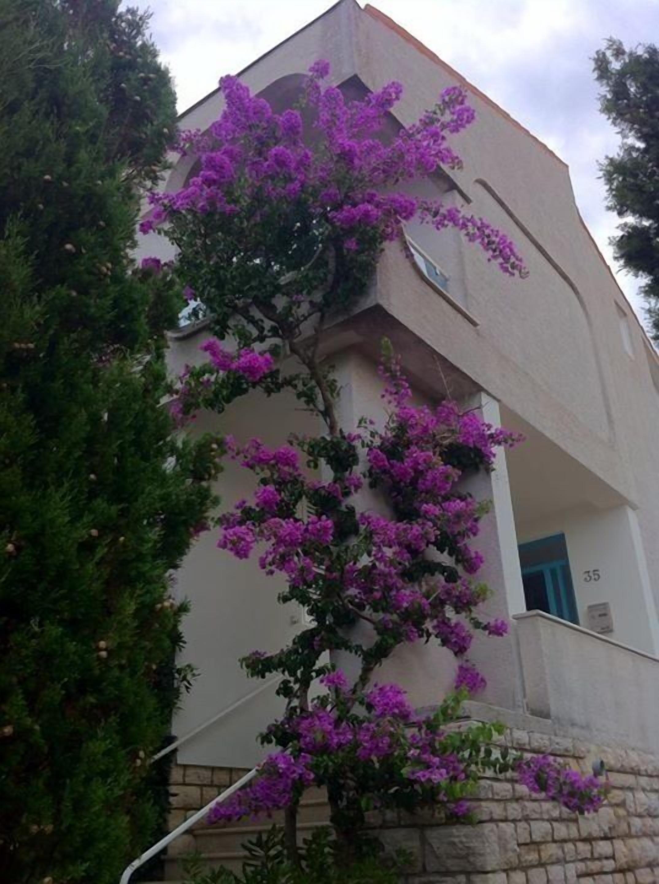 Guesthouse Punta Mira Beachfront