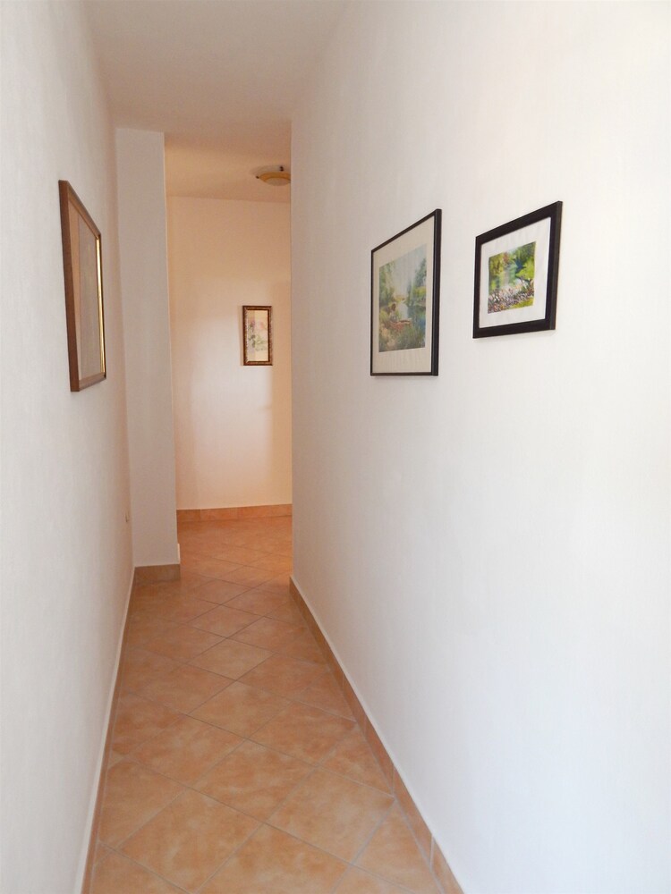Apartments Rajko
