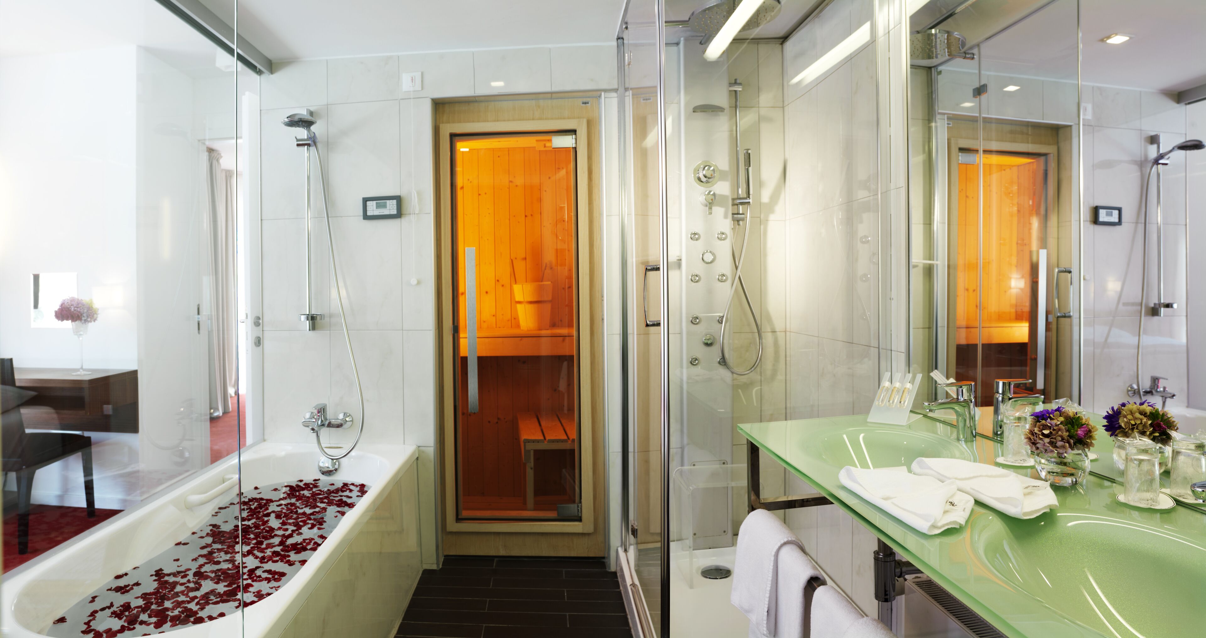 Hotel Terme Sveti Martin