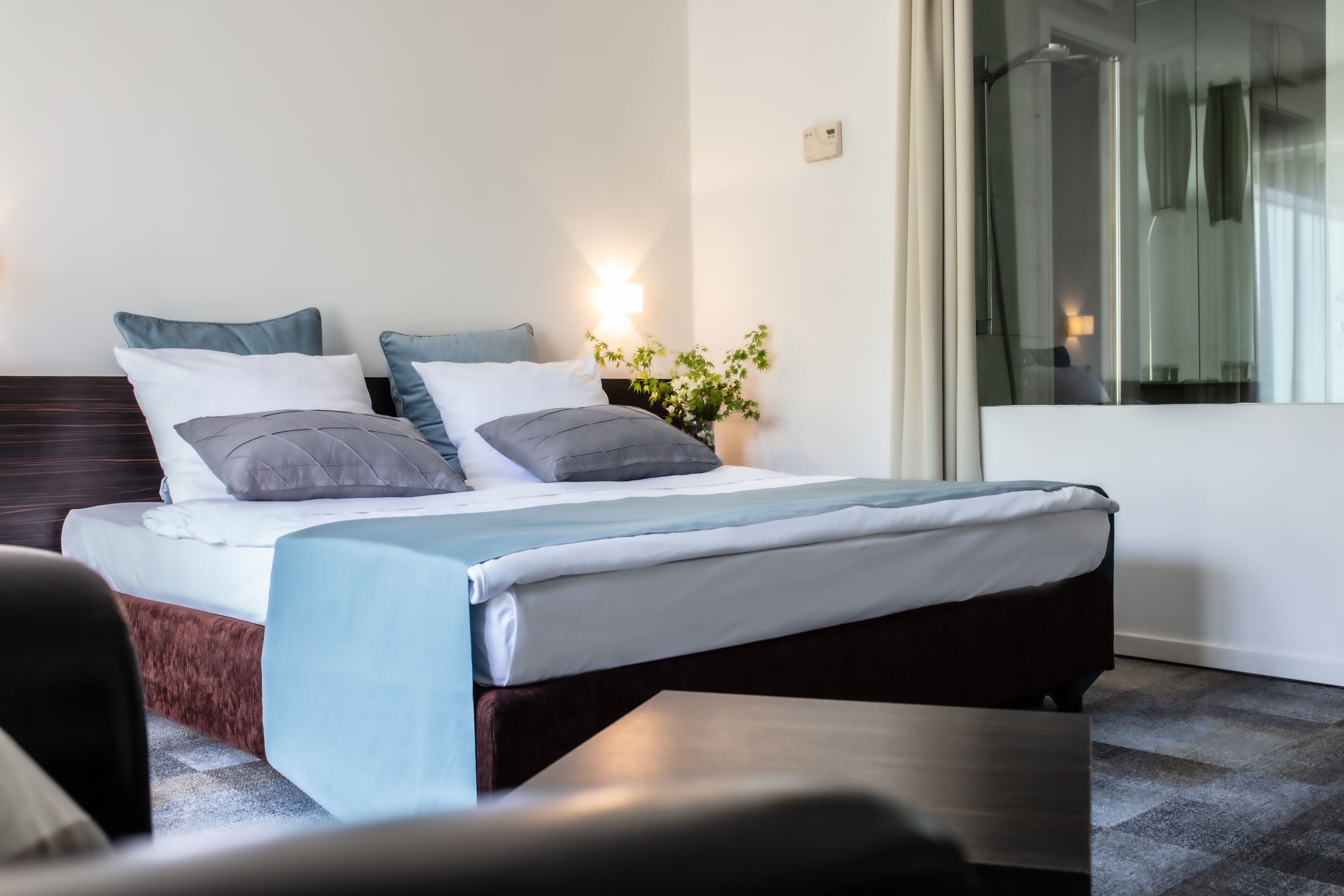 Hotel Terme Sveti Martin
