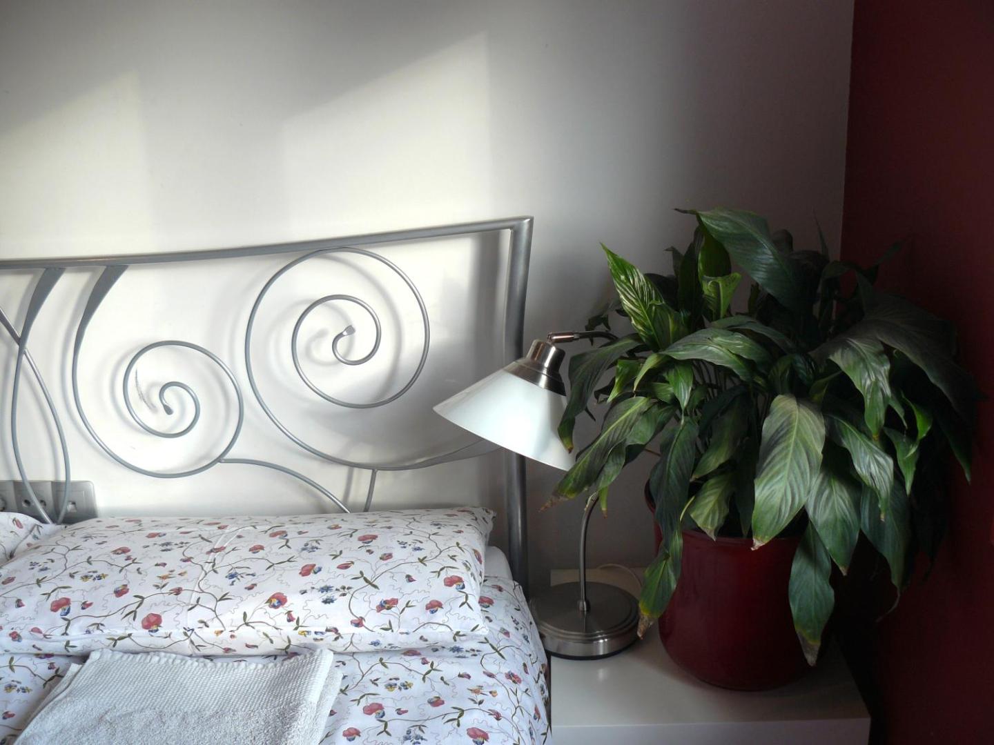 Celic Apartmani
