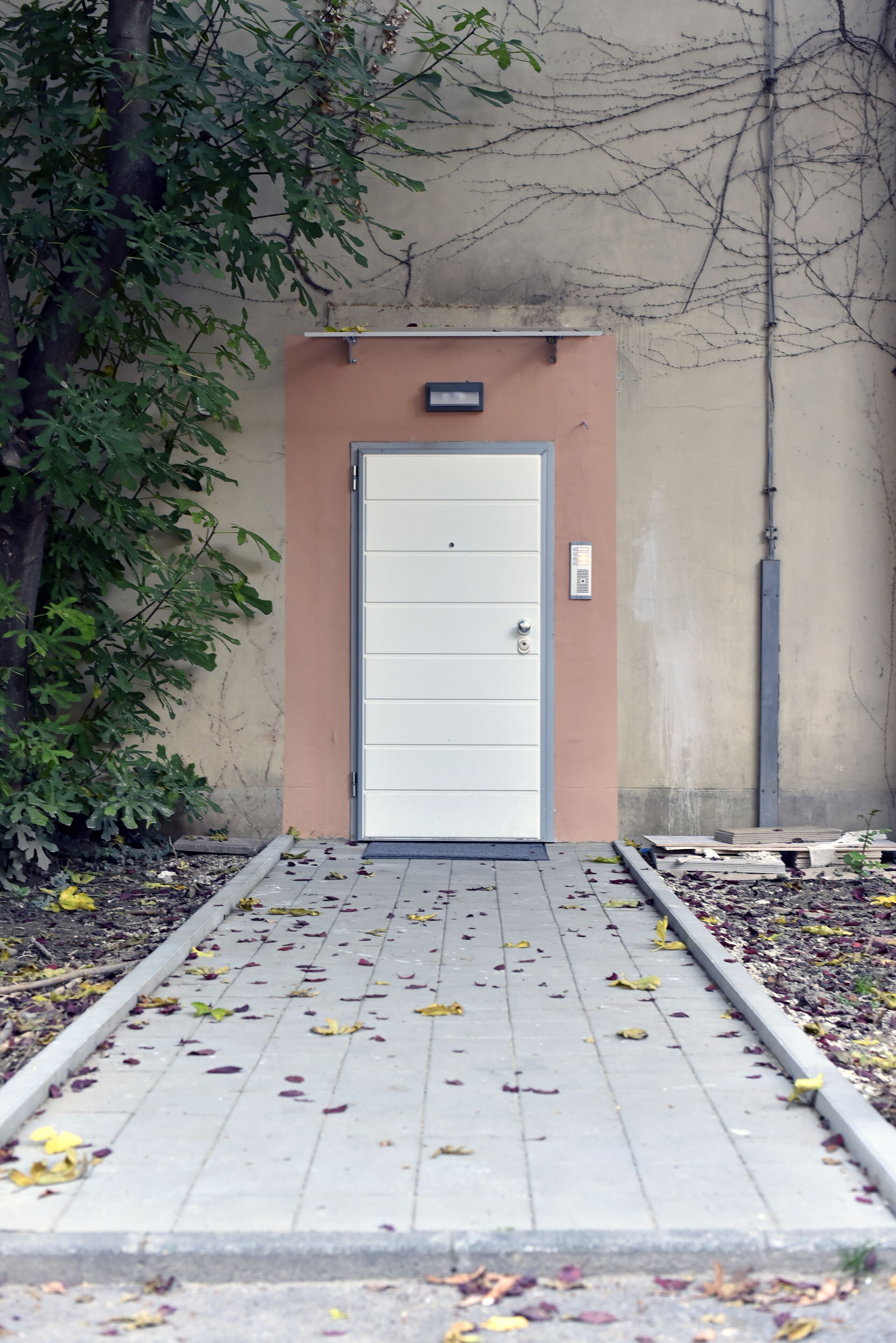 Hidden Backyard Apartments