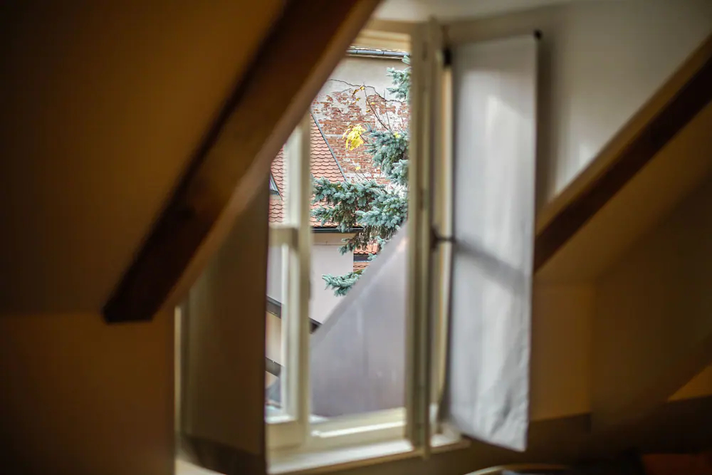 Paon Boutique Apartments