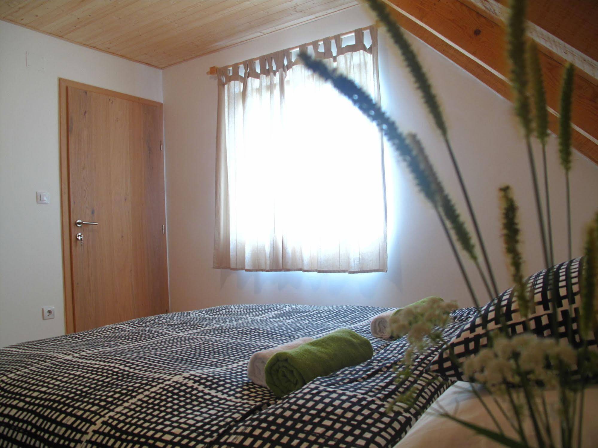 Guesthouse Bor