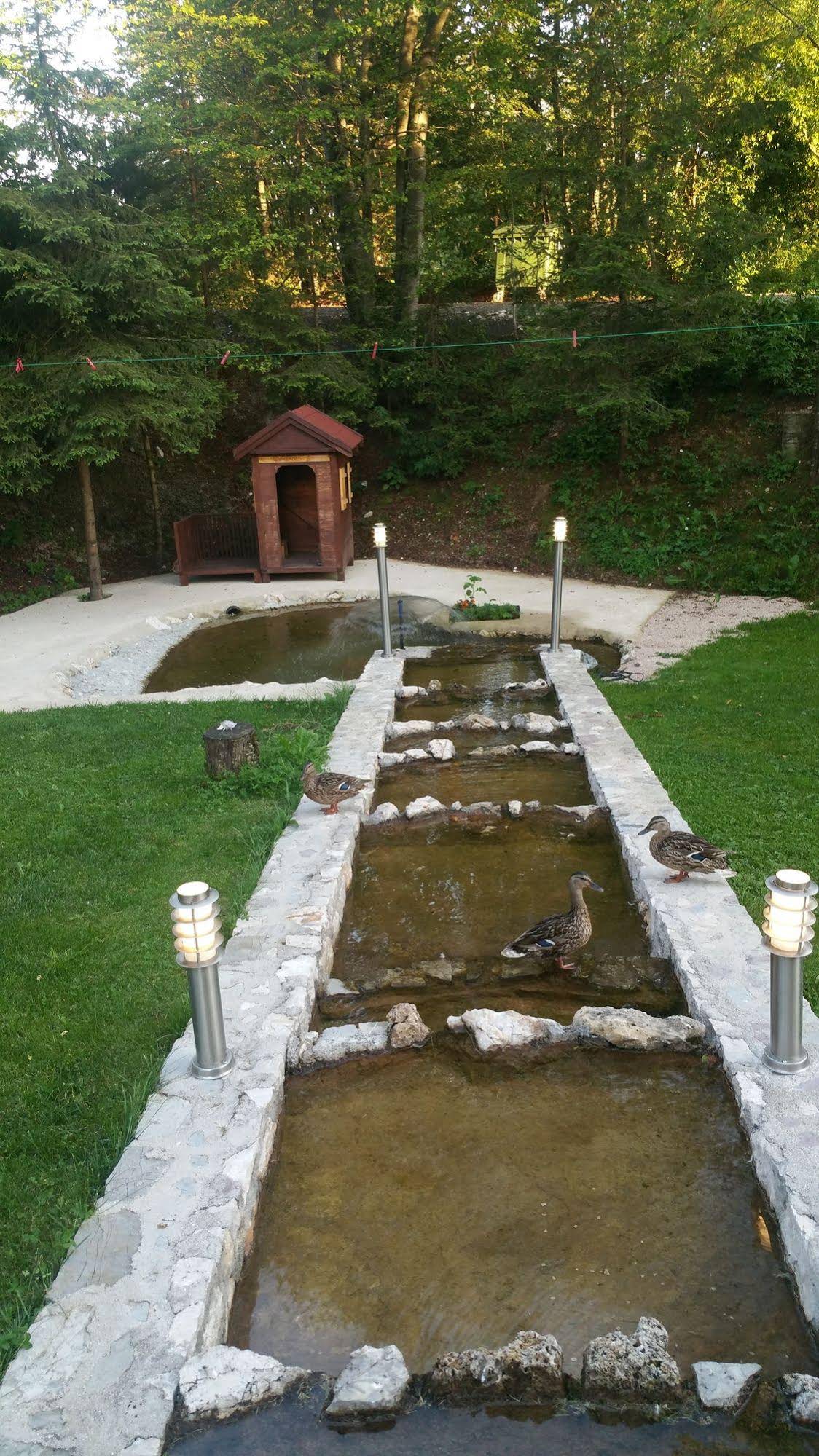 Pansion House Prijeboj