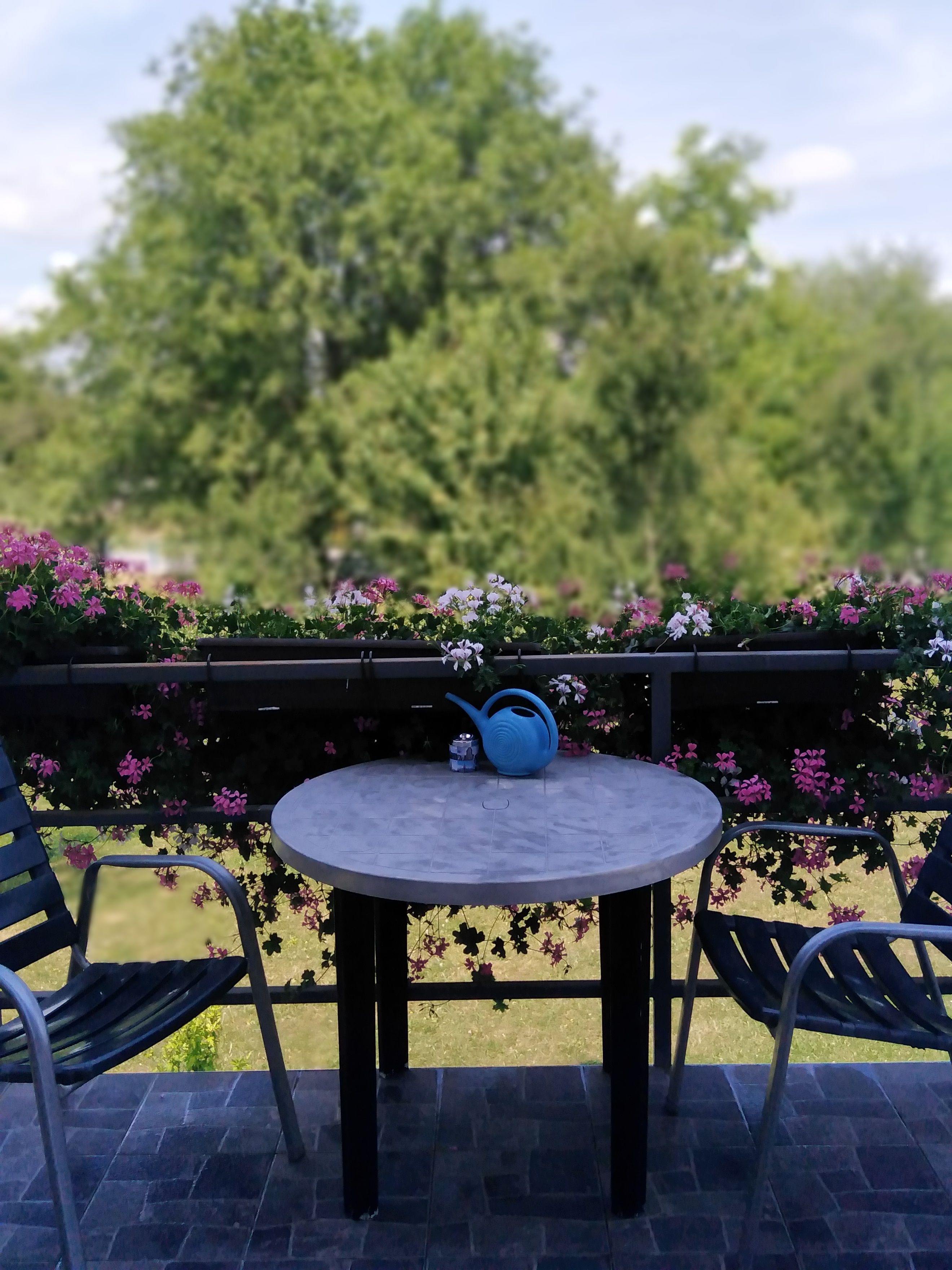 Guest House First Stop