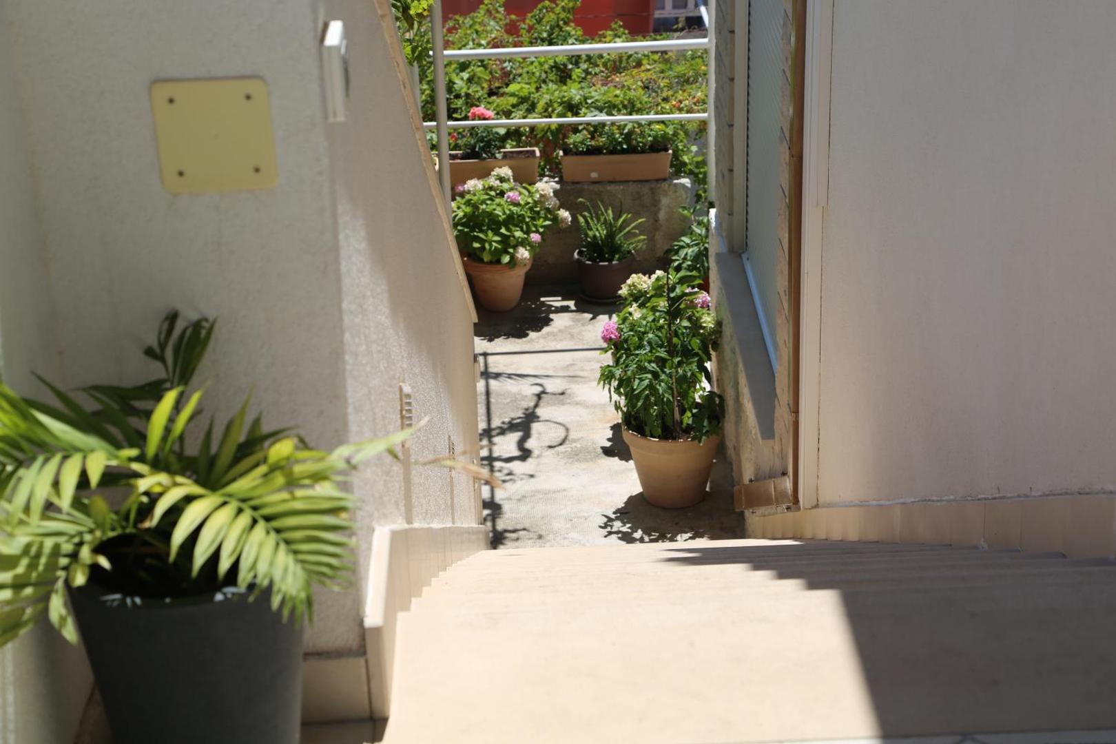 Apartments Jakov and Antonia