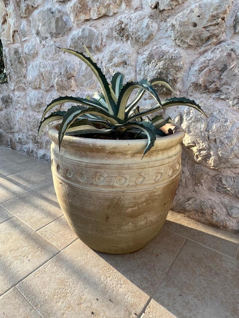 Apartments Jakov and Antonia