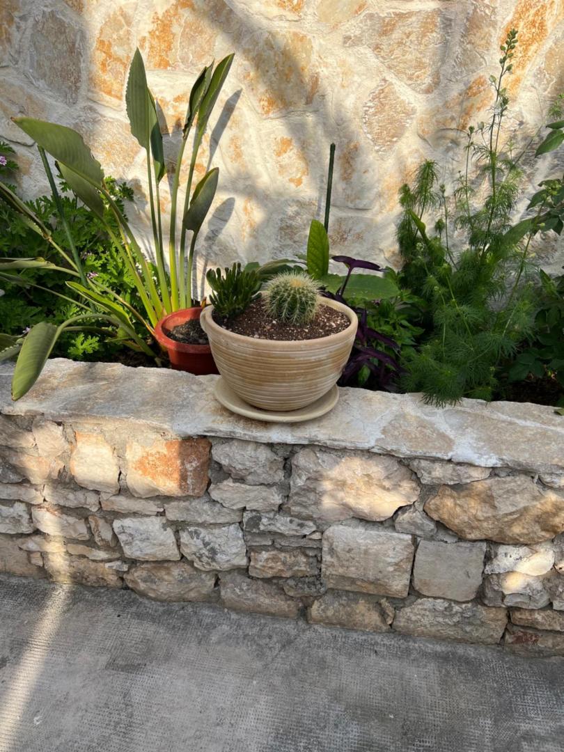 Apartments Jakov and Antonia