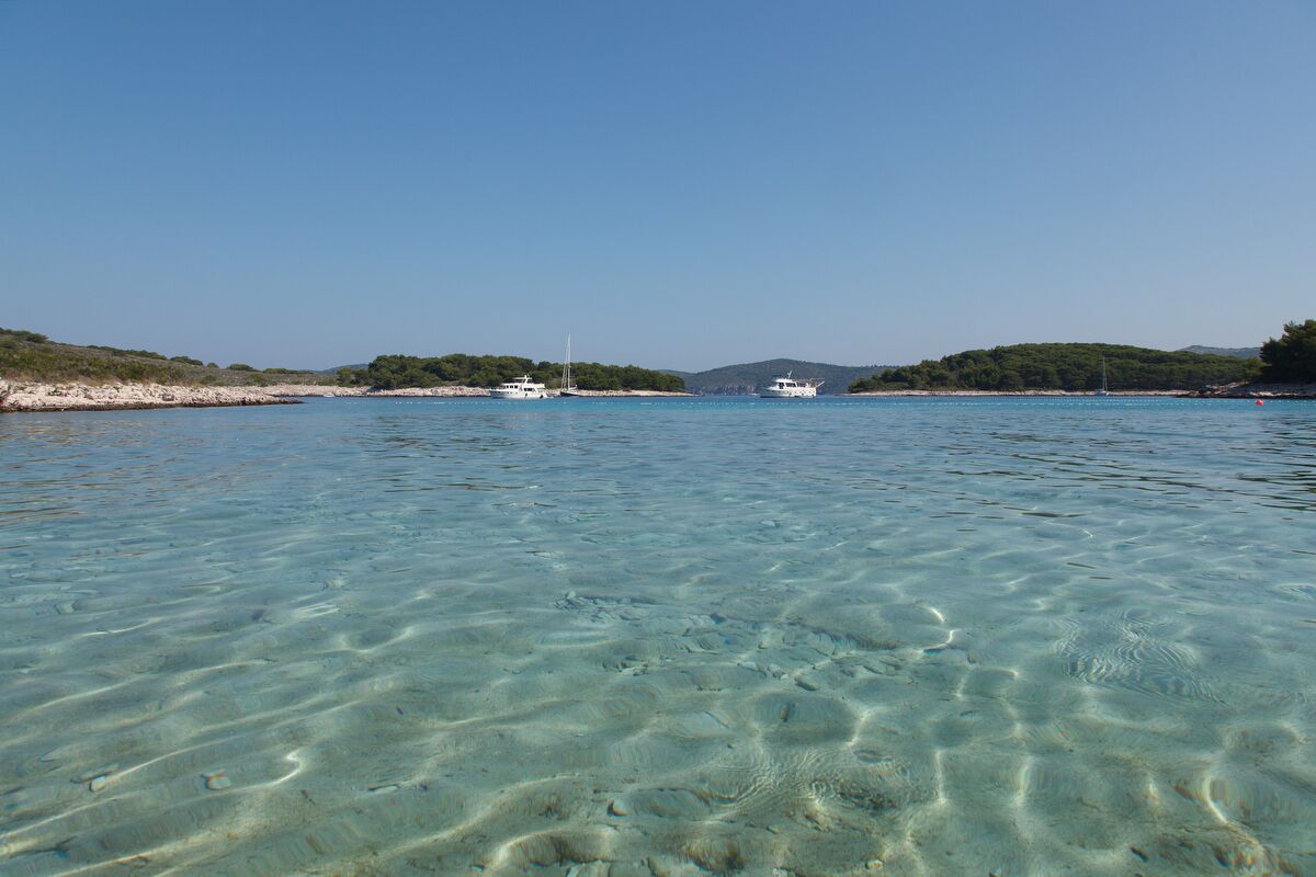 Robinson House Nicolina