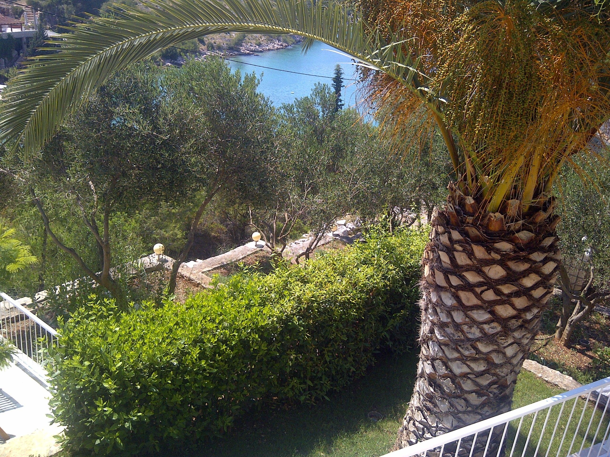 Villa Sonia and Teo Hvar