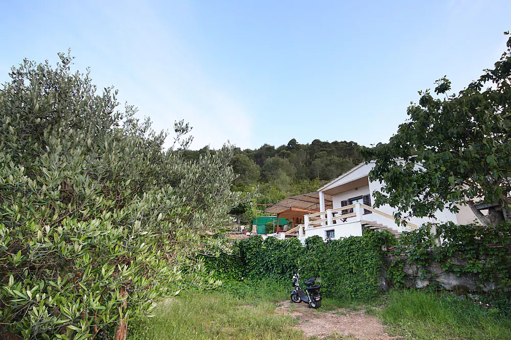 House Tonci