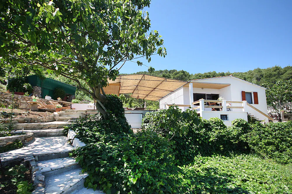 House Tonci