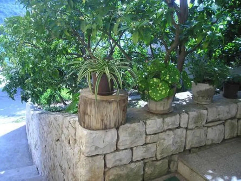 Apartment And Room Padovan