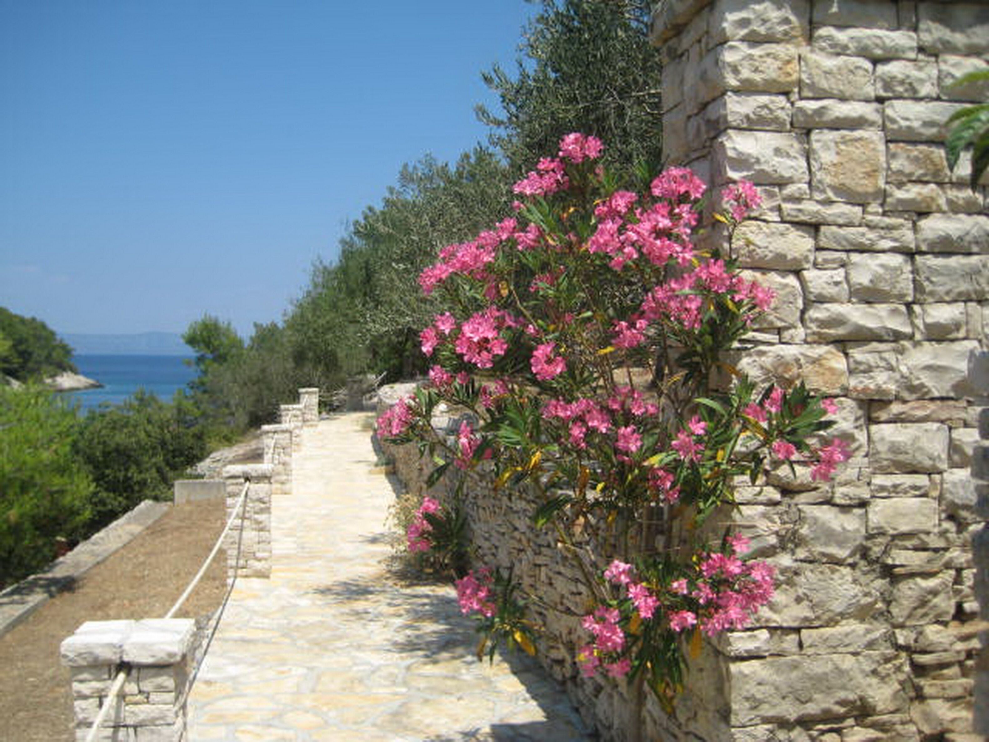 Stone House Mia - Prihonja