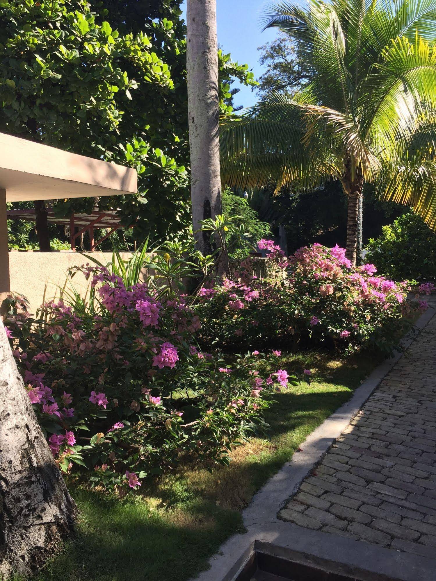 Palm Residence