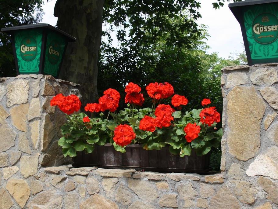 Hotel Flandria