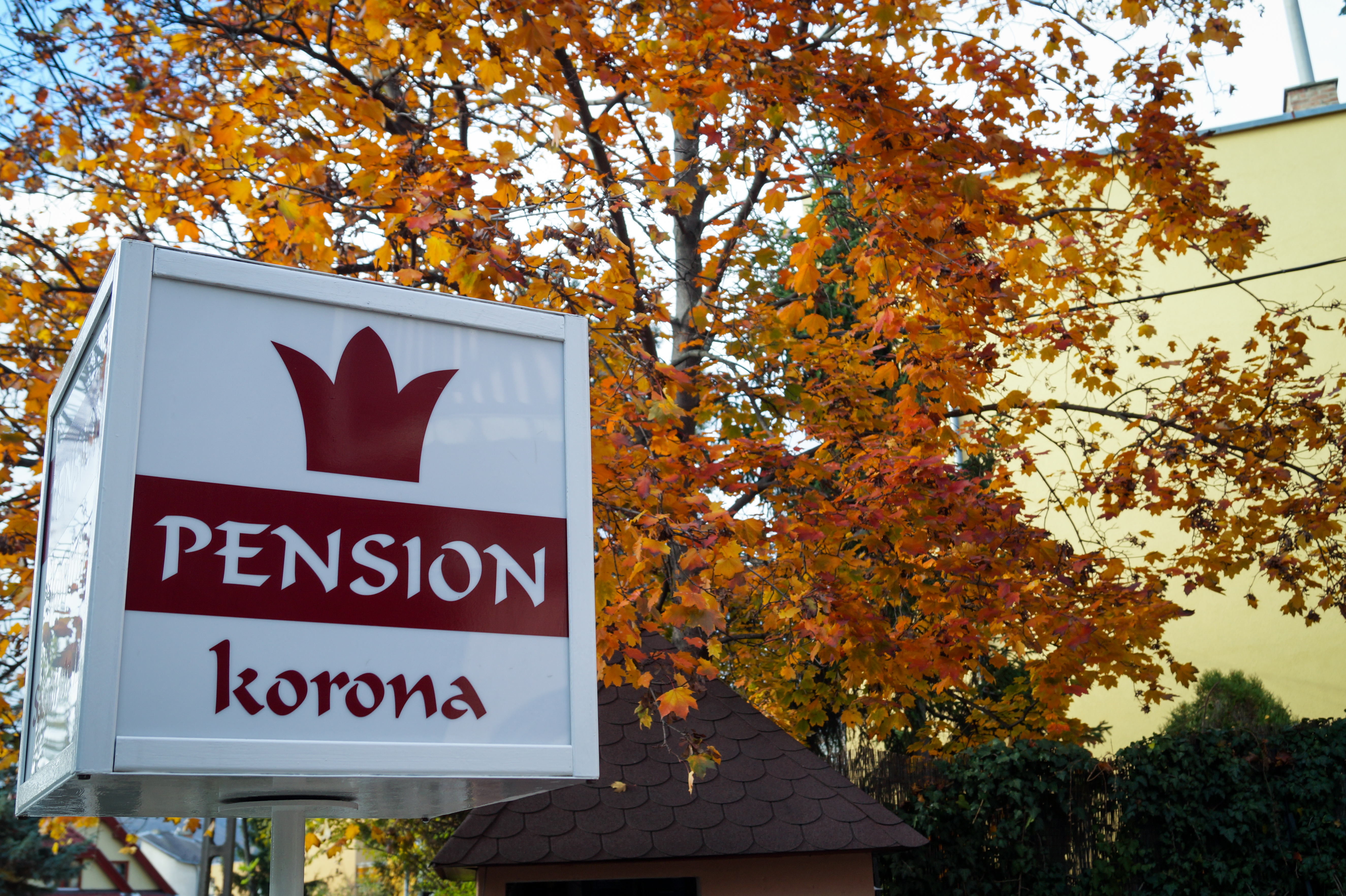 Korona Pension