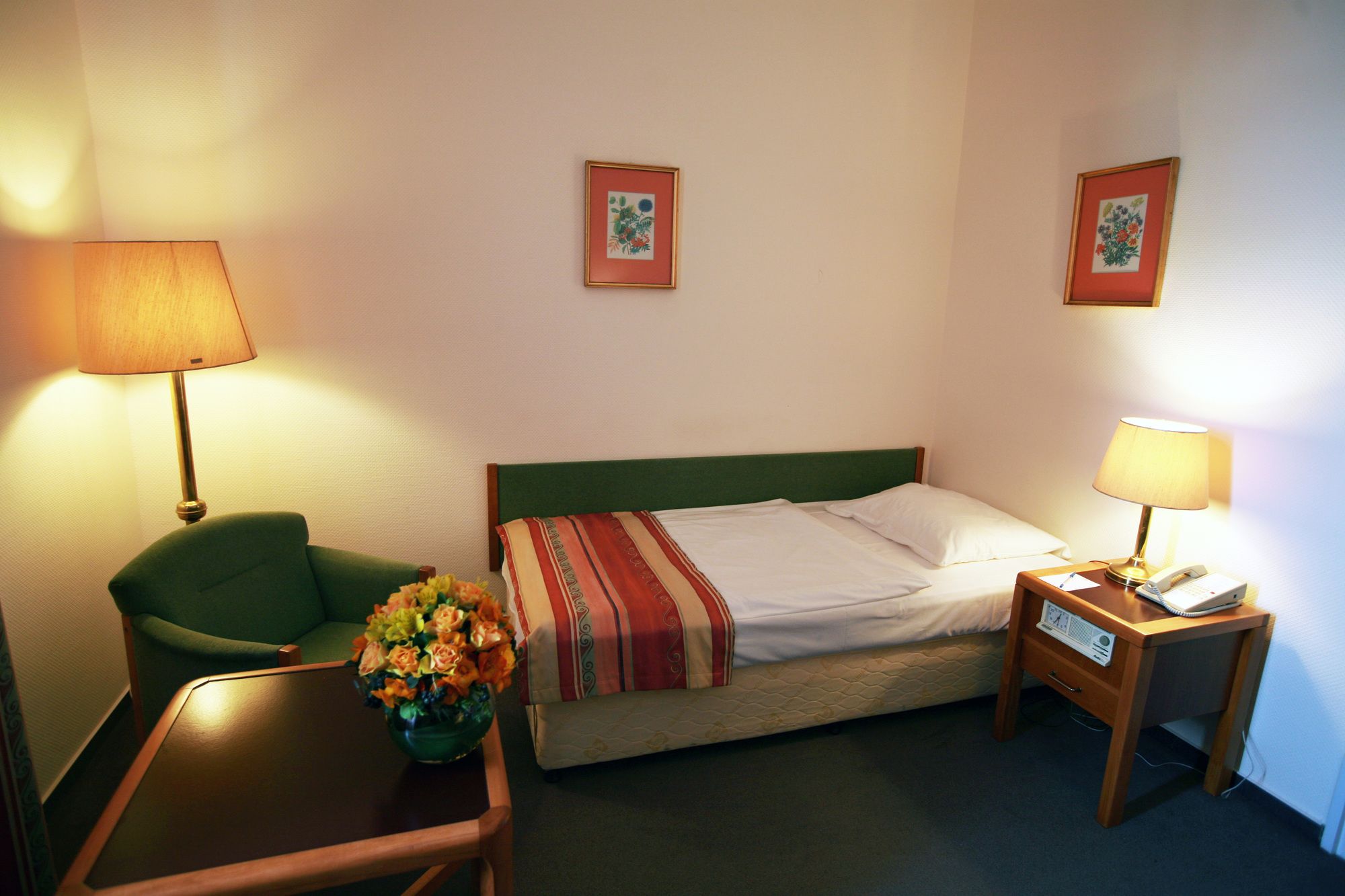 Hotel Rába City Center