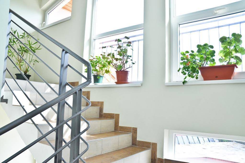 Wellness Apartmanok