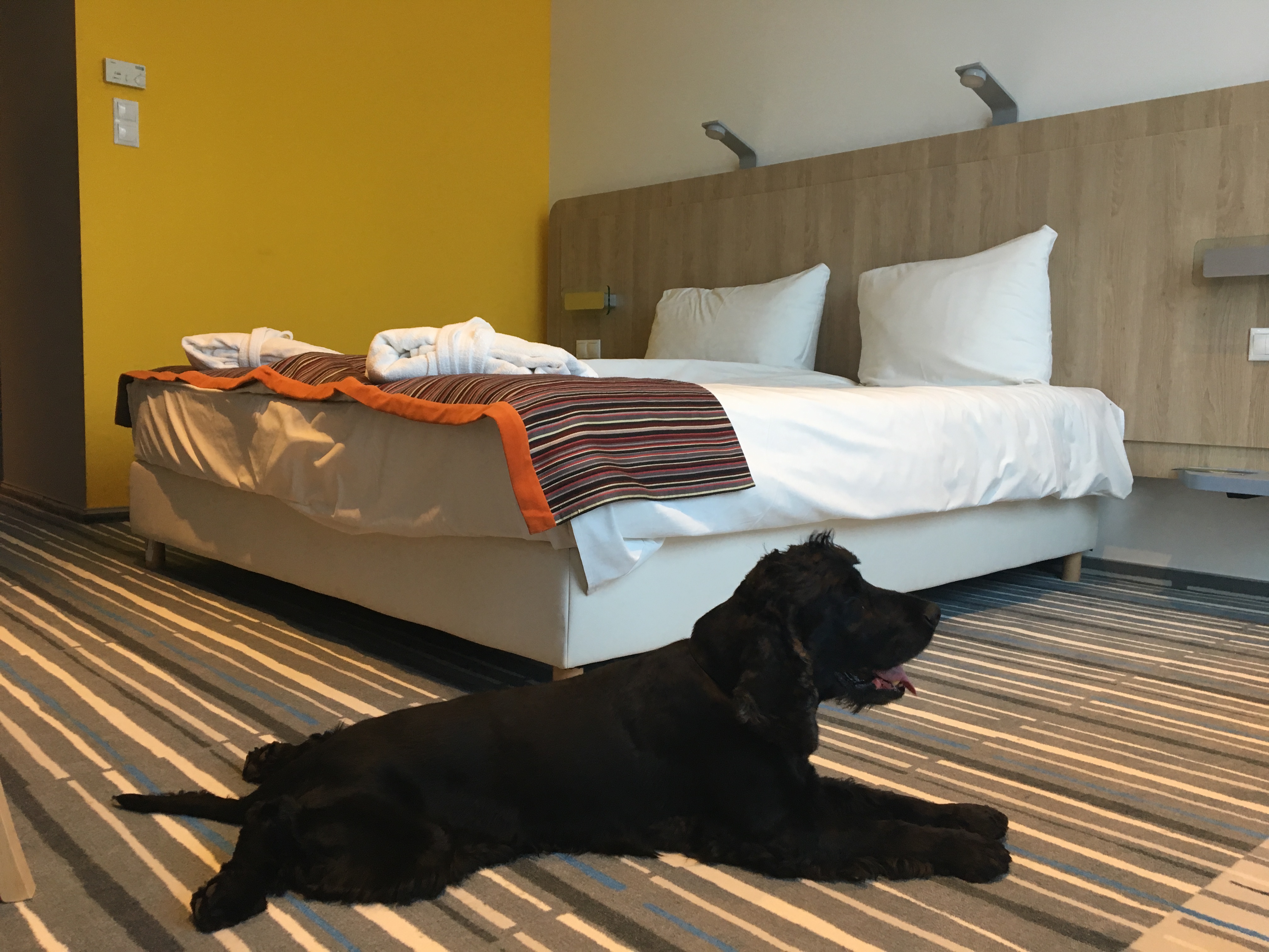 Park Inn by Radisson Sárvár Resort & Spa