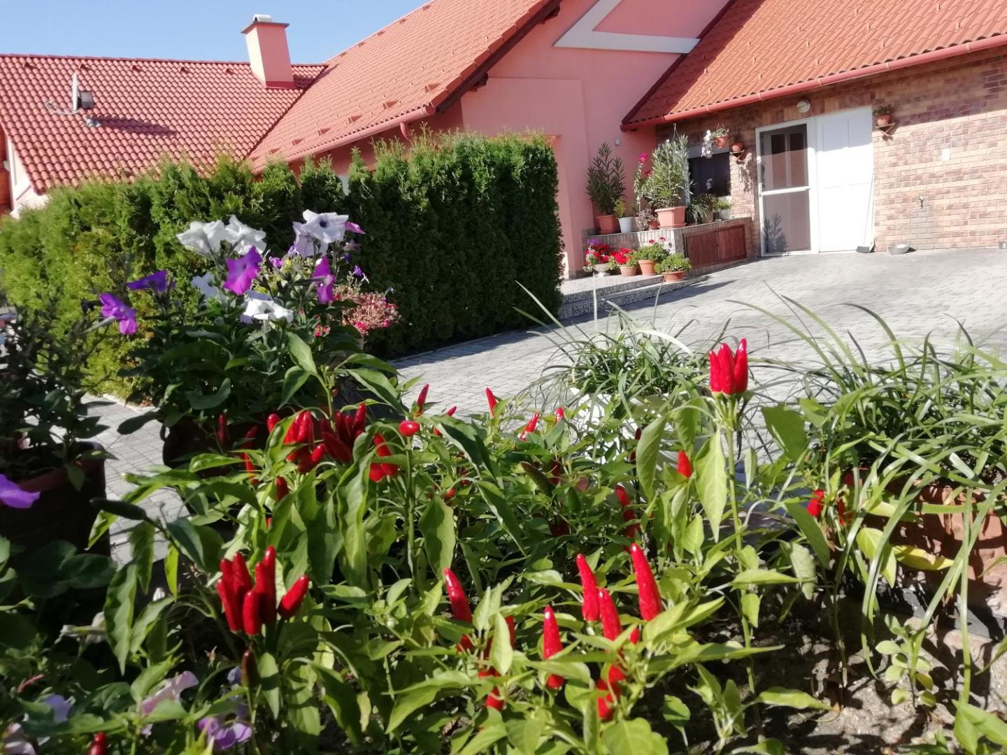 Villa Piros