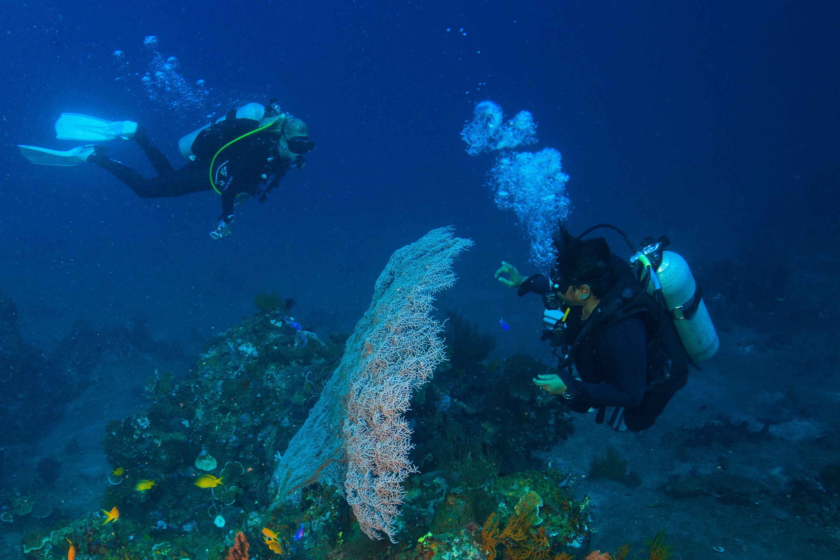 Hotel Uyah Amed & Spa Resort