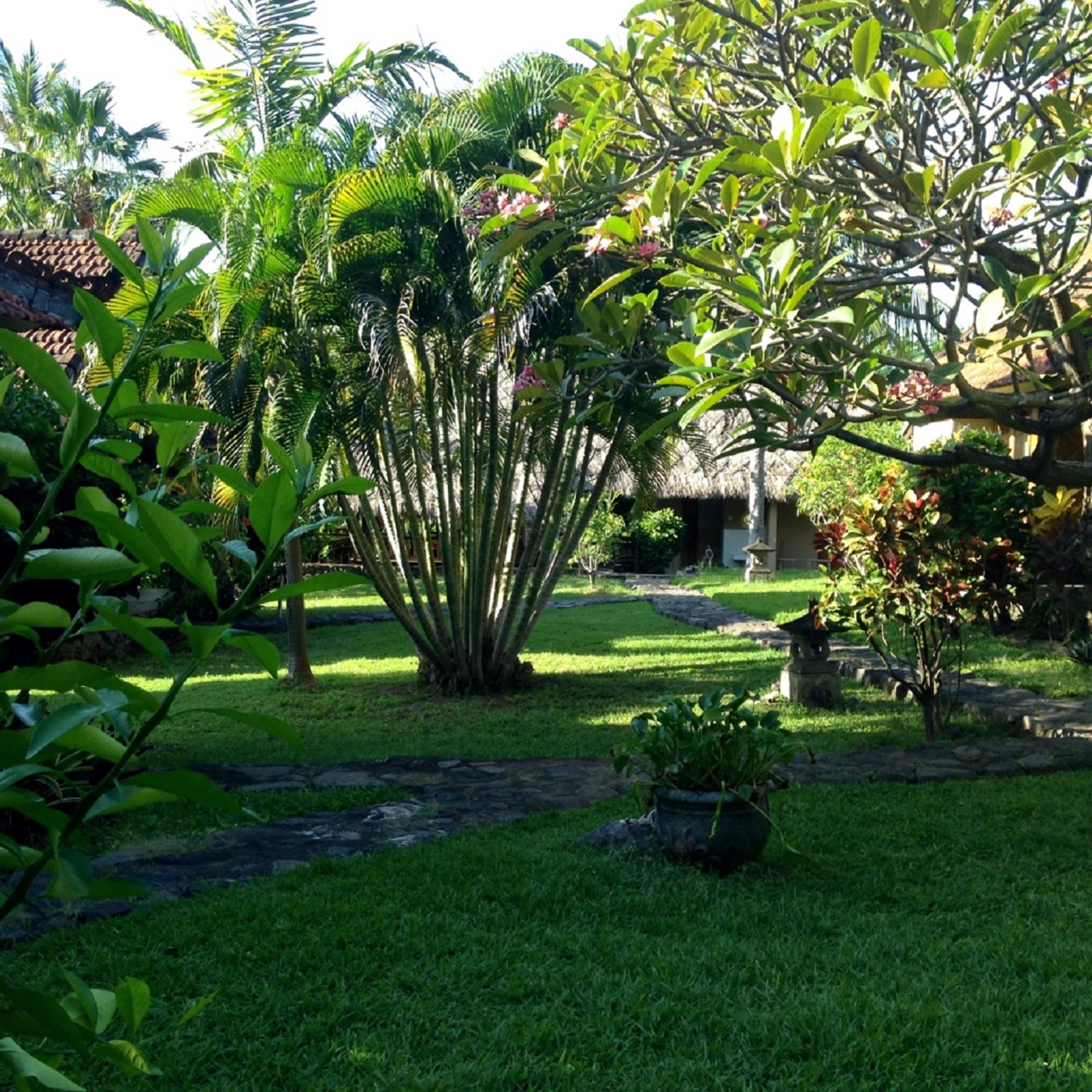 Le Jardin