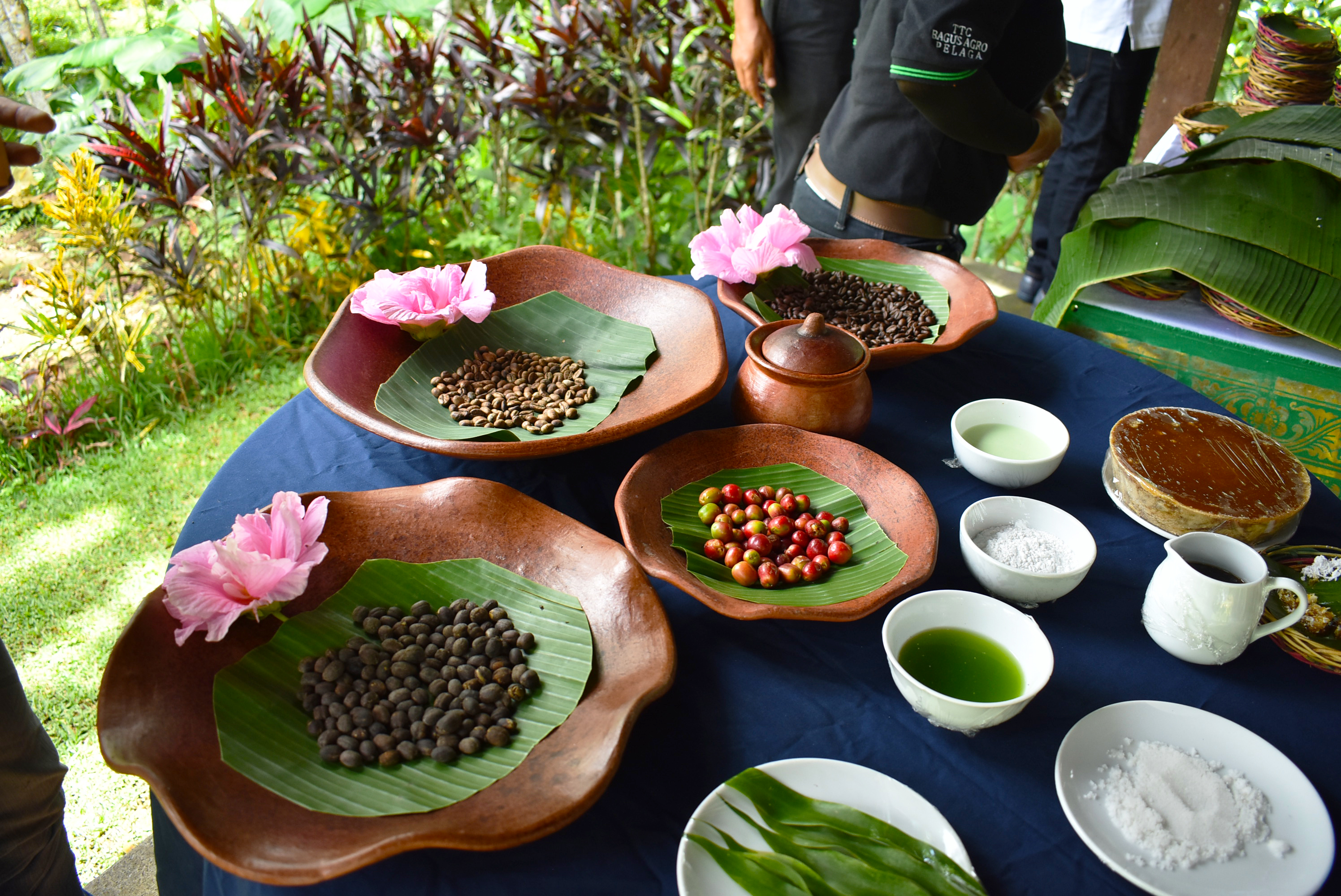 Bagus Agro Pelaga