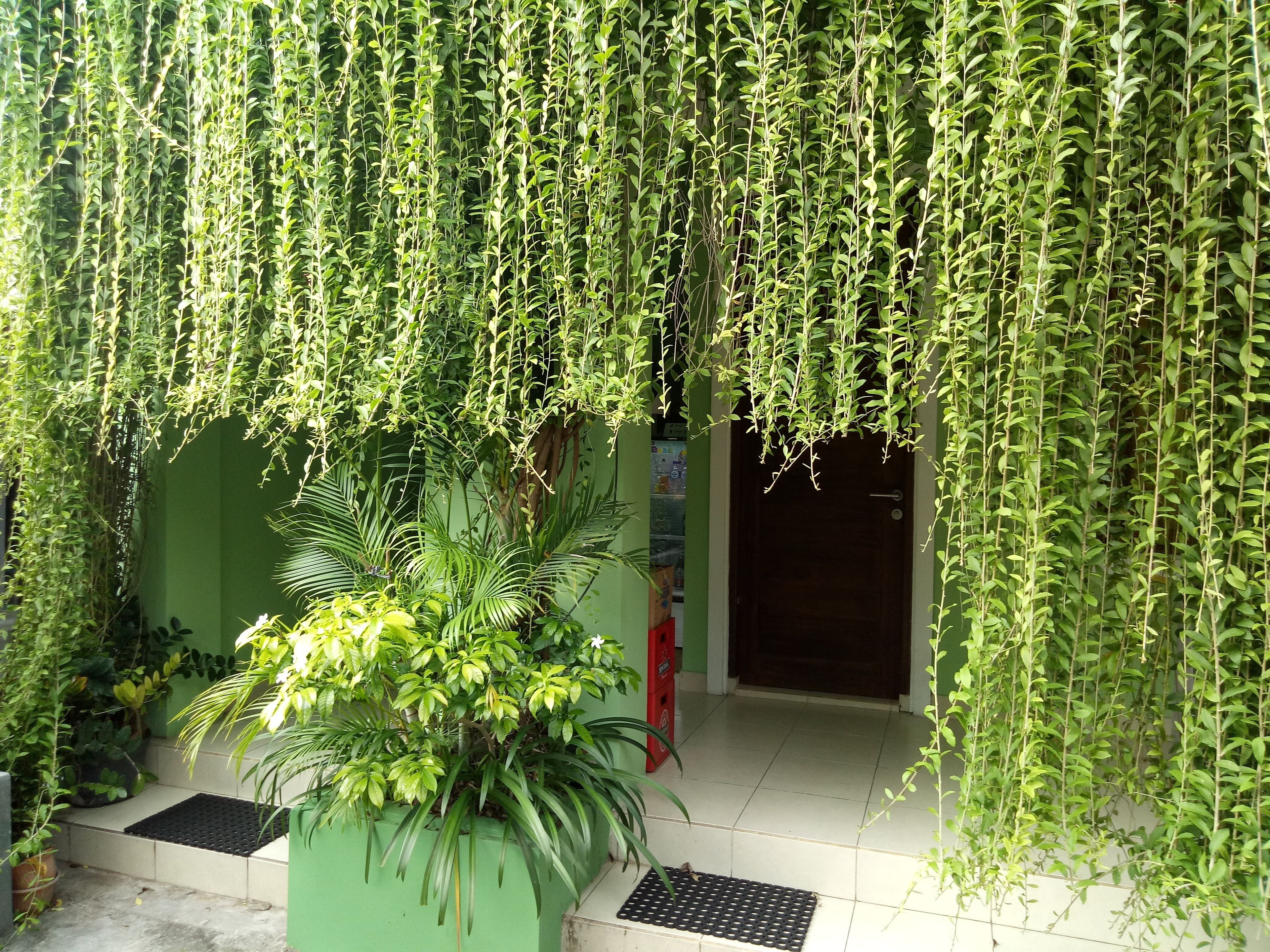 Purnama House Kuta