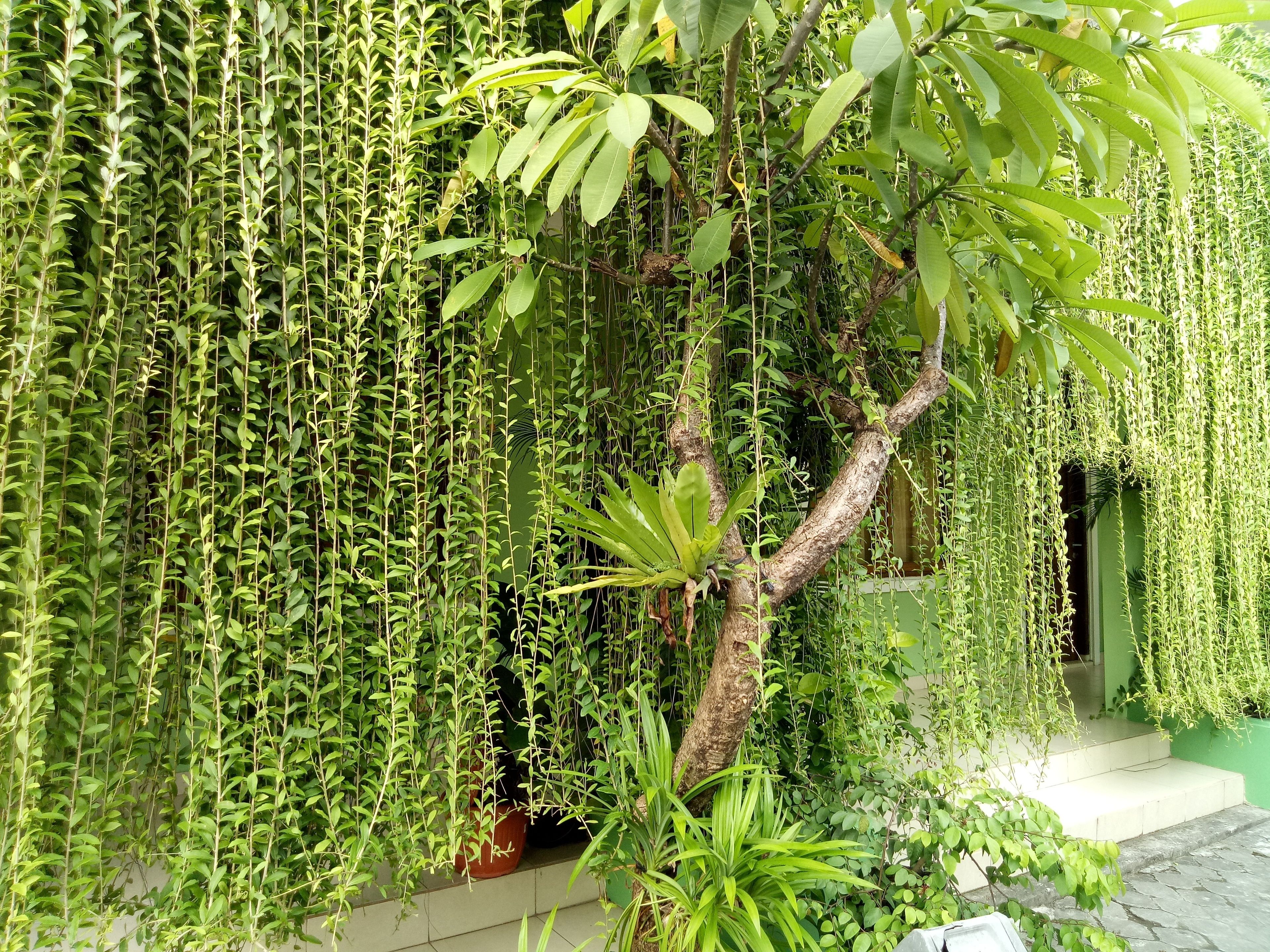 Purnama House Kuta