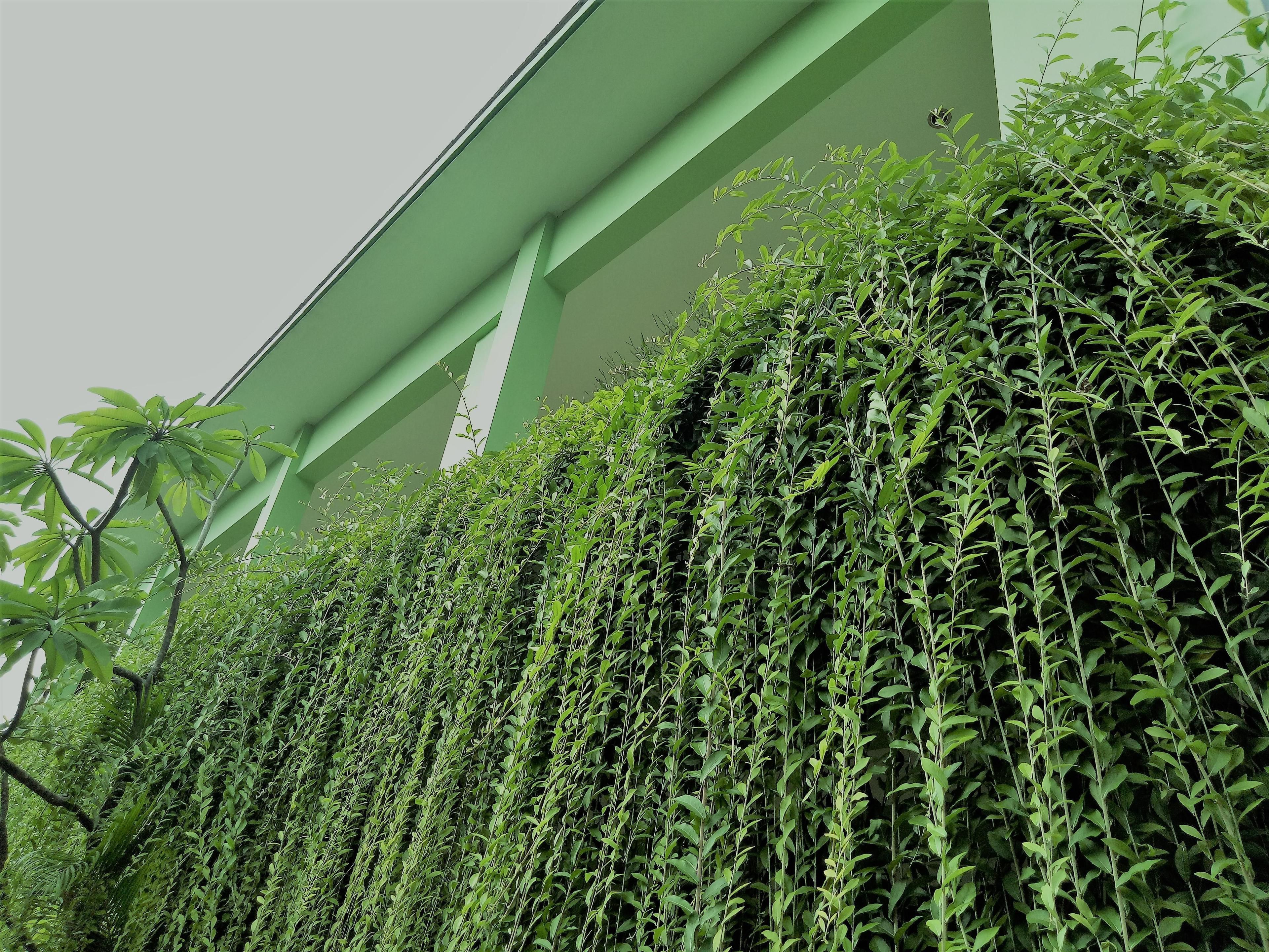 Purnama House Kuta