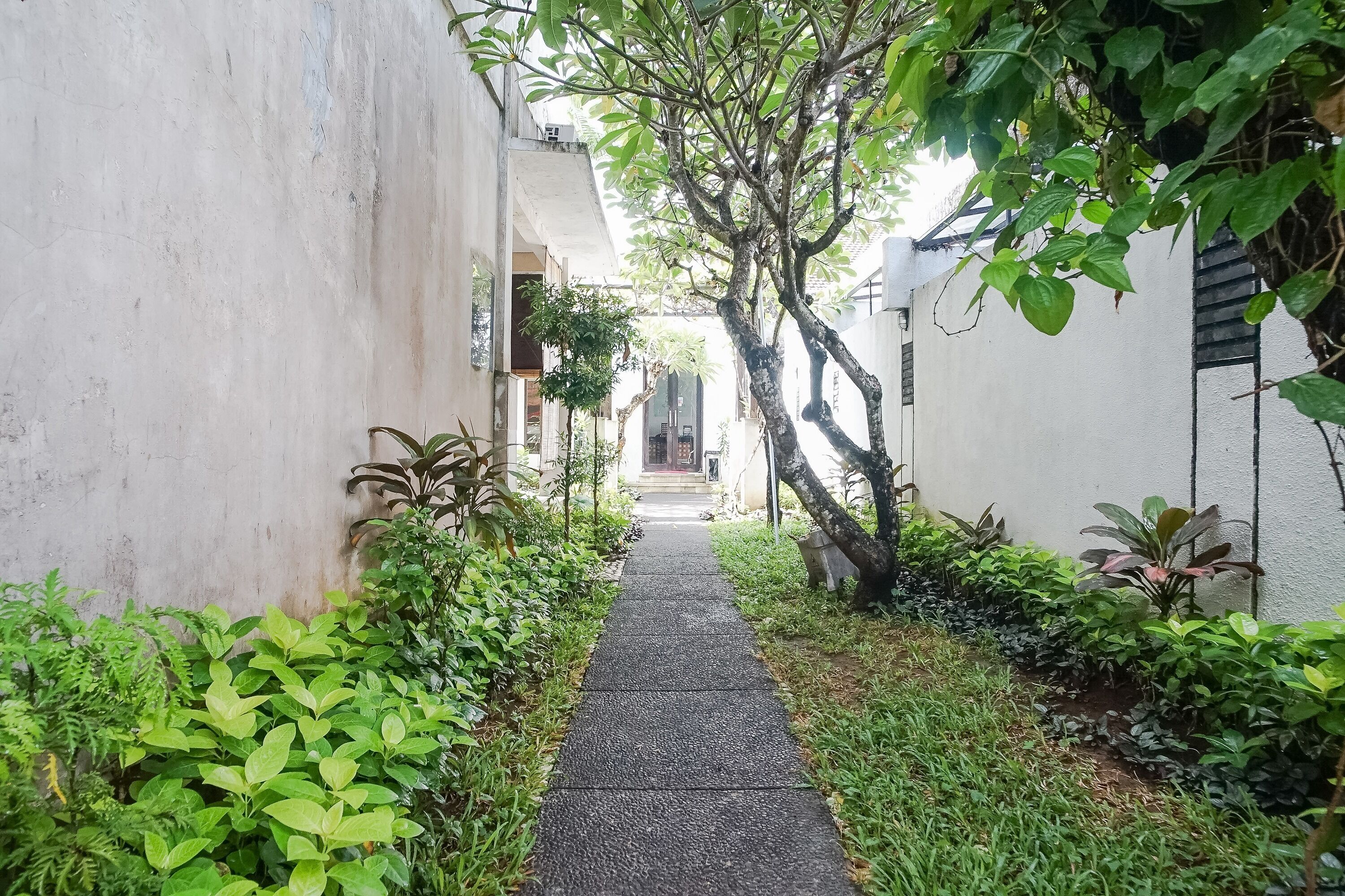 Queen Rose Villa & Spa