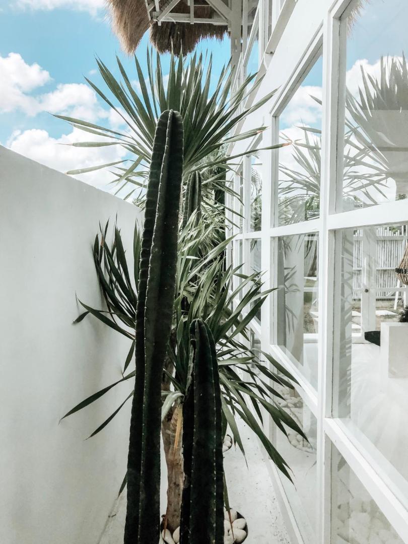 White Palm Hotel Bali