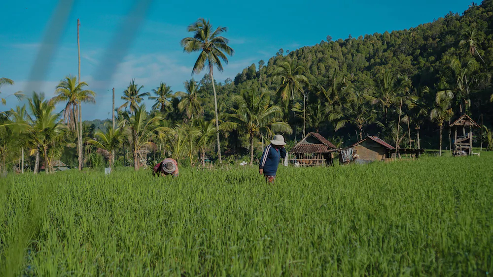 Damarwidi Glamping