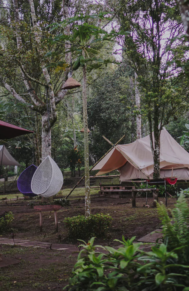 Damarwidi Glamping