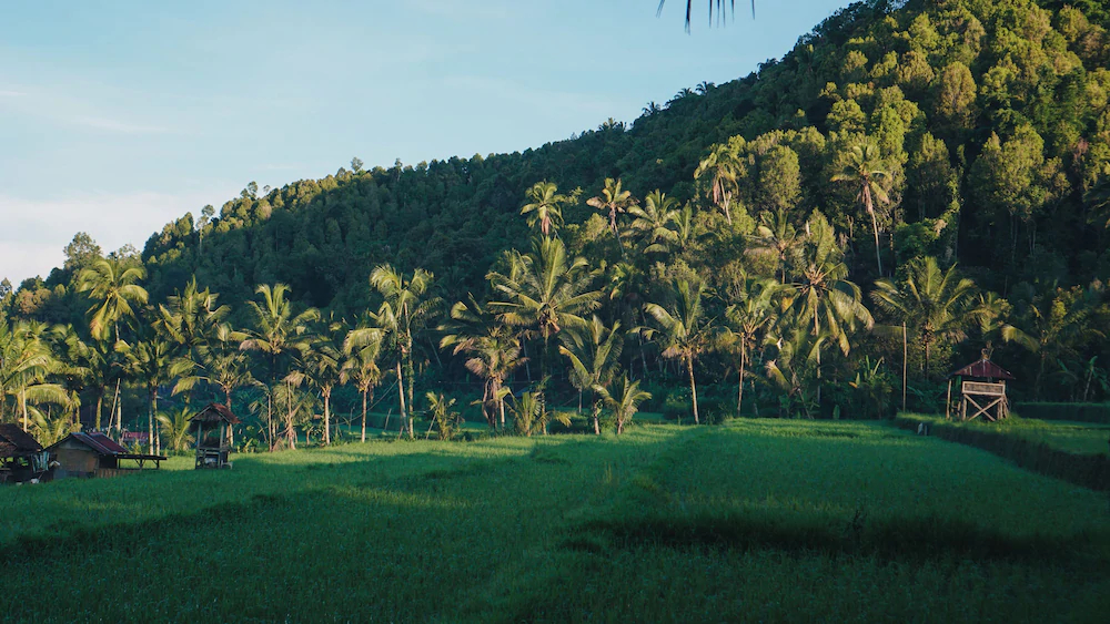 Damarwidi Glamping