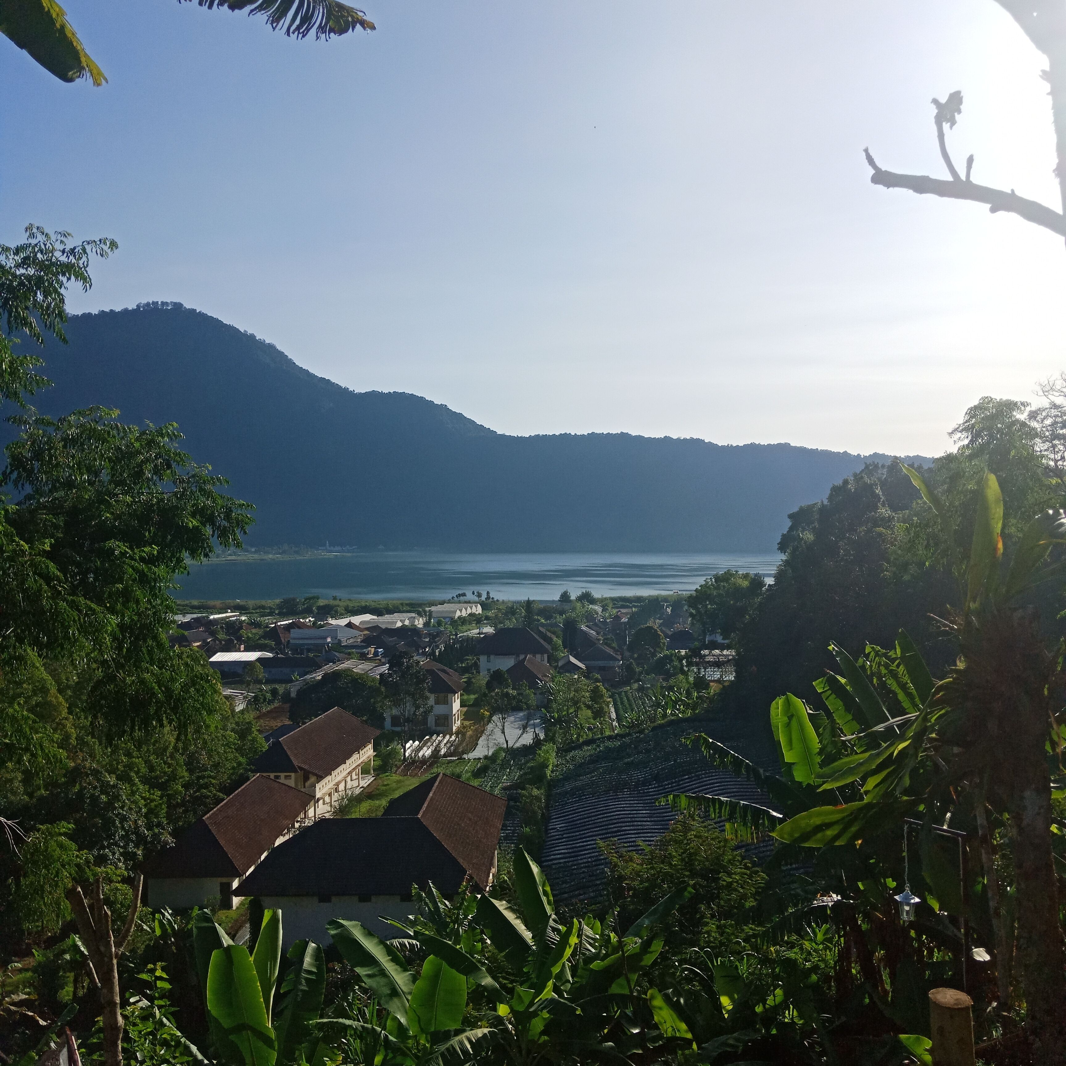 Dong Losog Camping Lodge And Resto