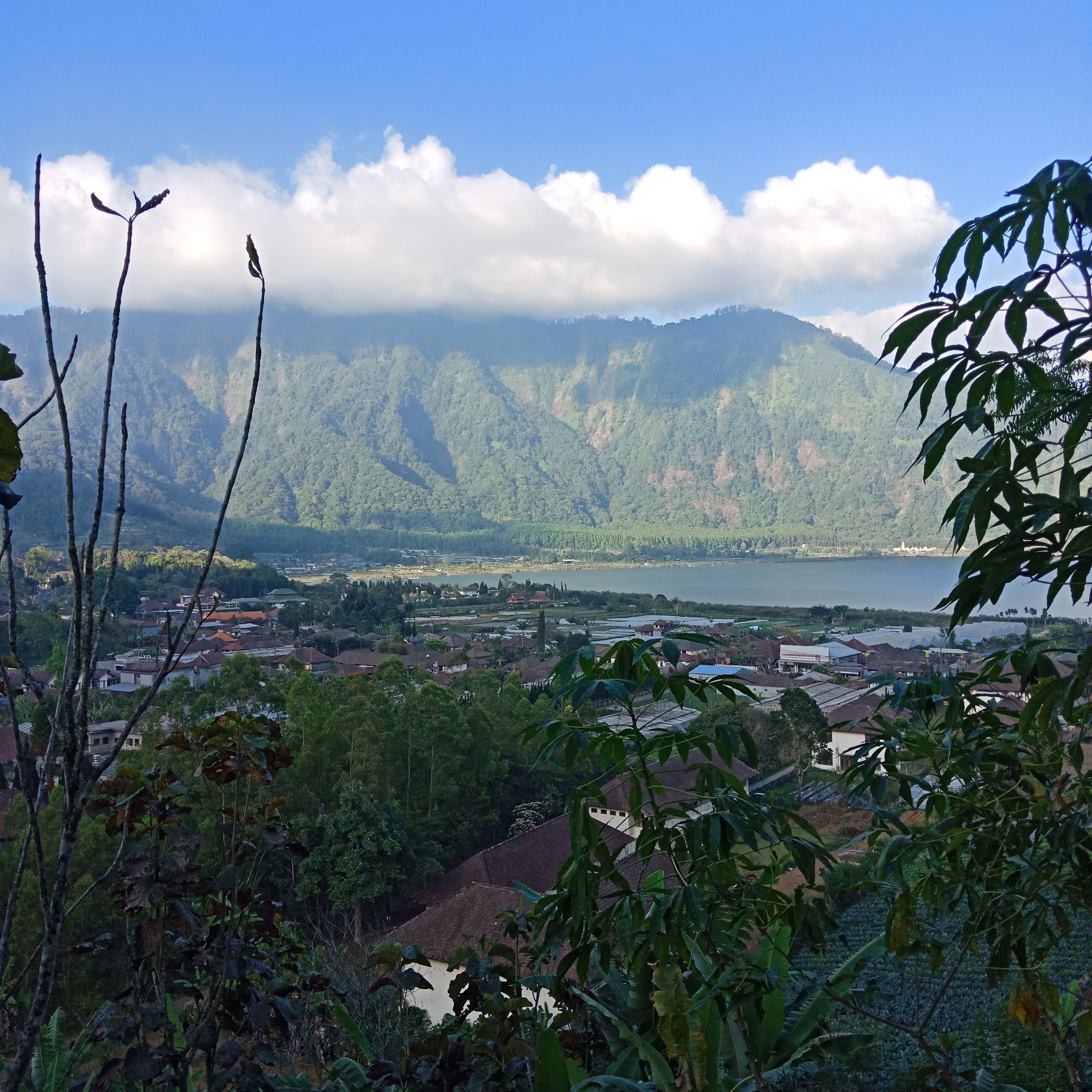 Dong Losog Camping Lodge And Resto