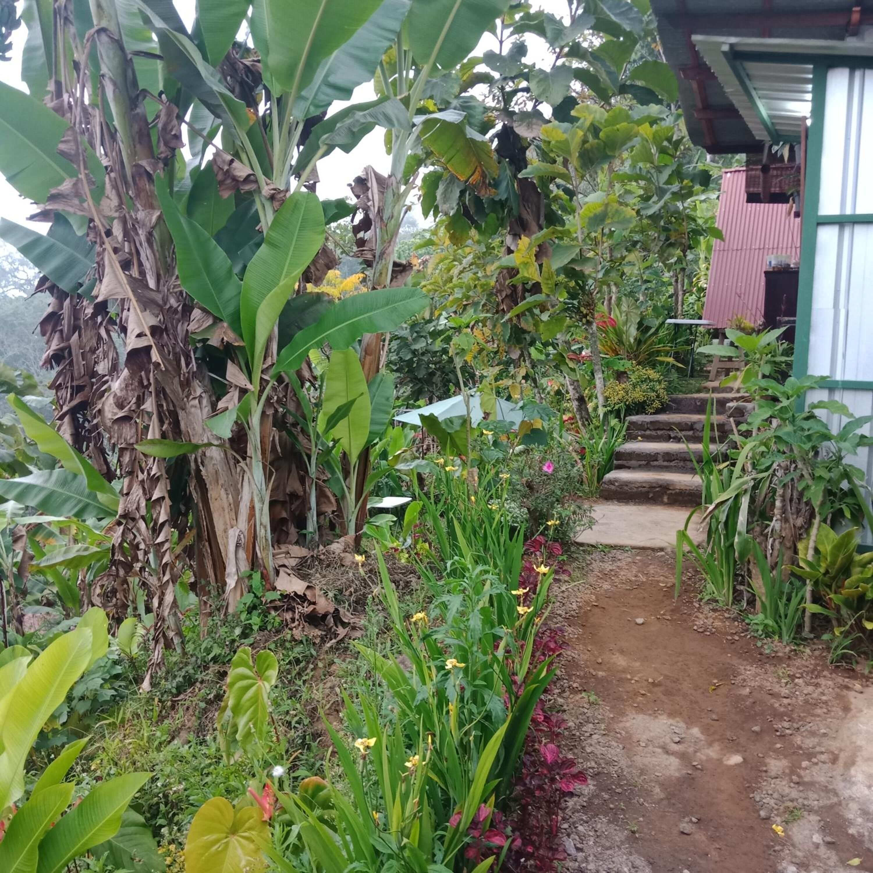 Dong Losog Camping Lodge And Resto