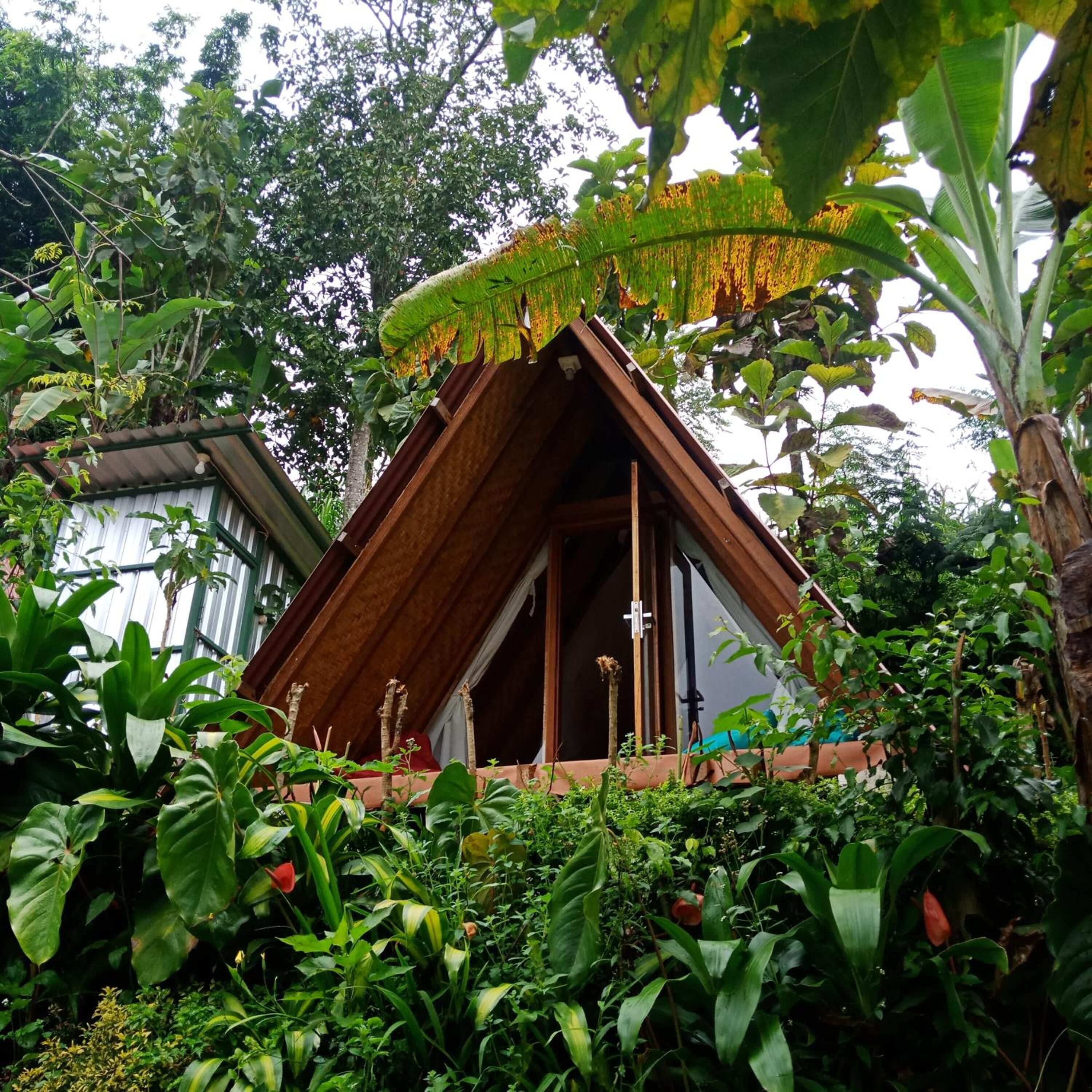 Dong Losog Camping Lodge And Resto