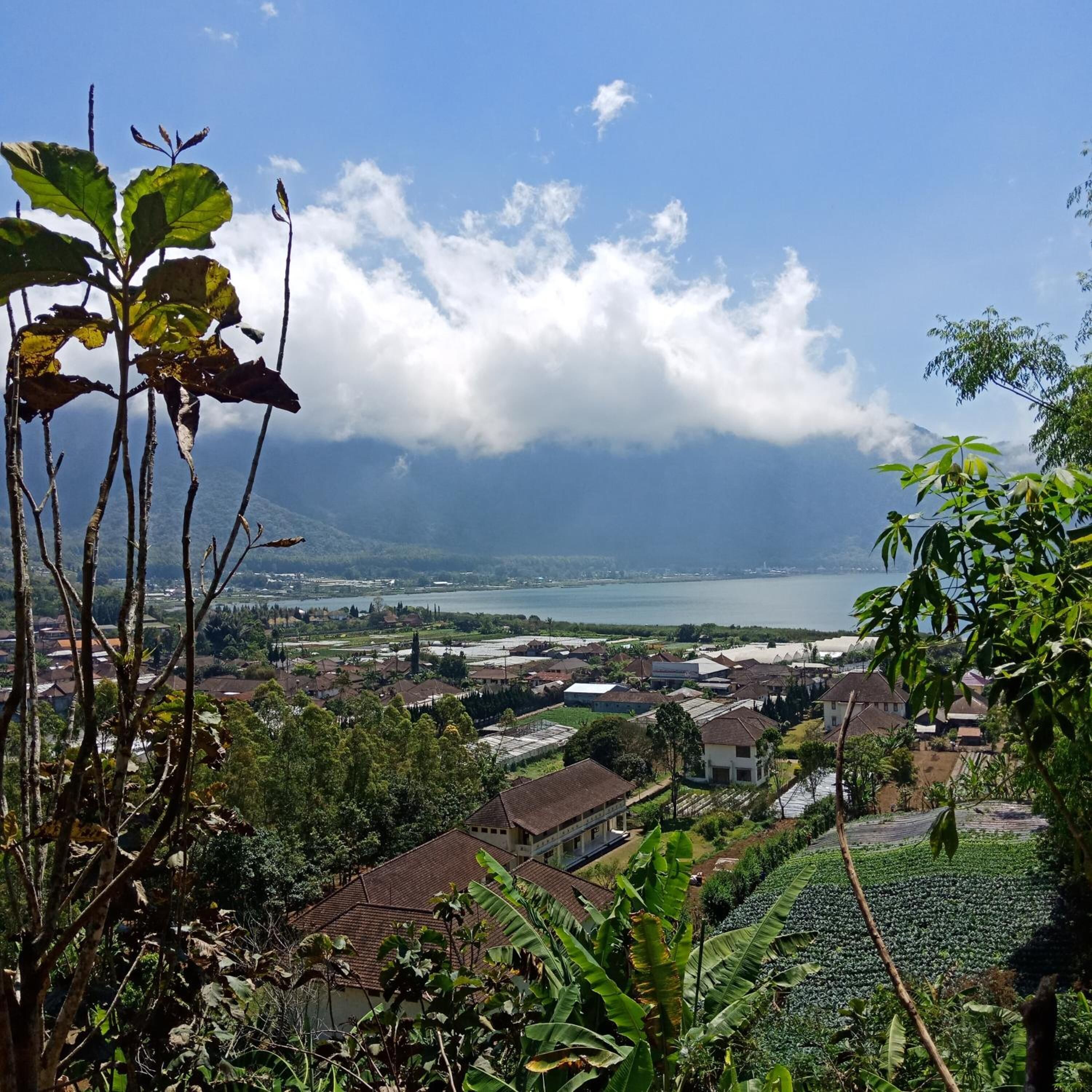 Dong Losog Camping Lodge And Resto